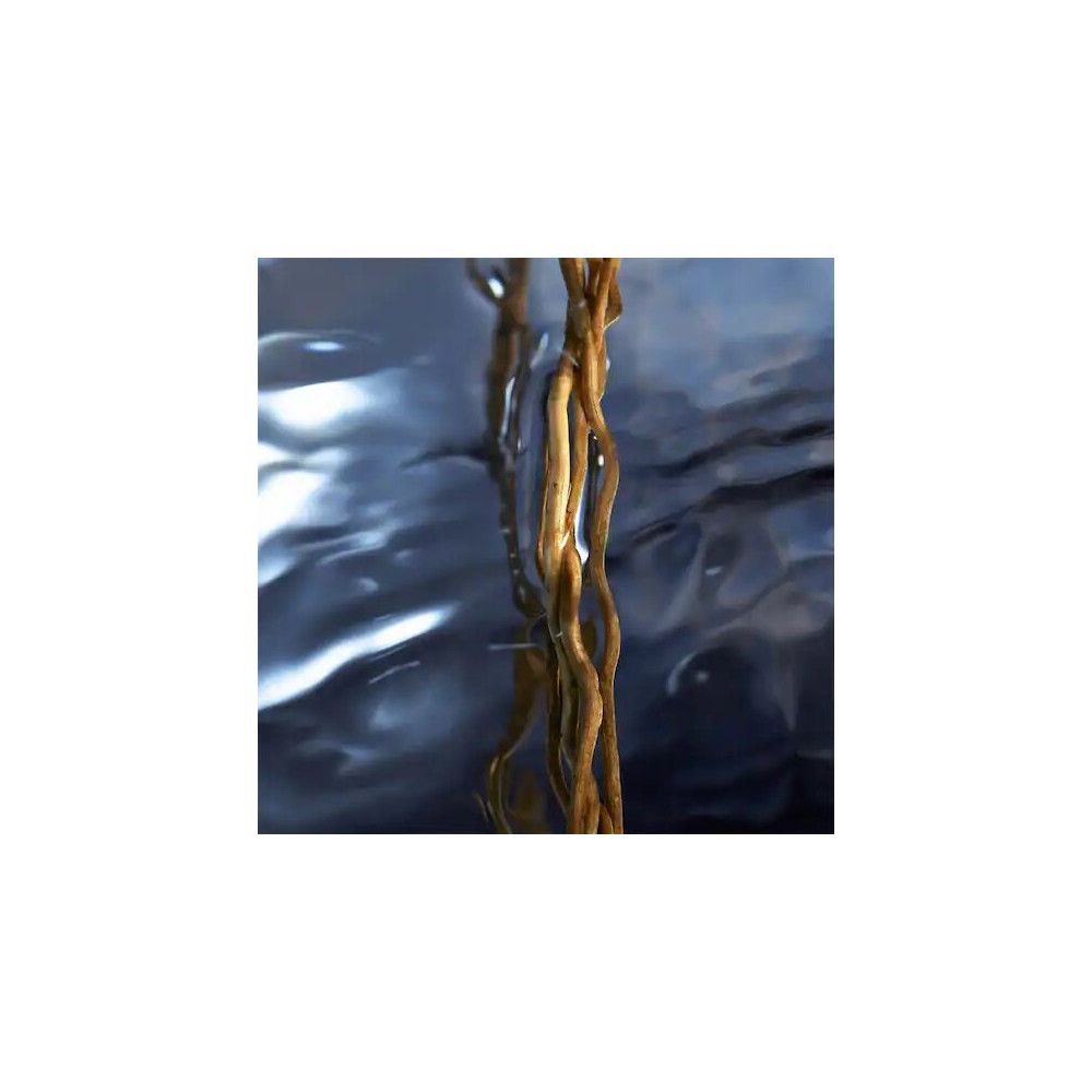 Bruine wortels in water. Donkerblauwe achtergrond.