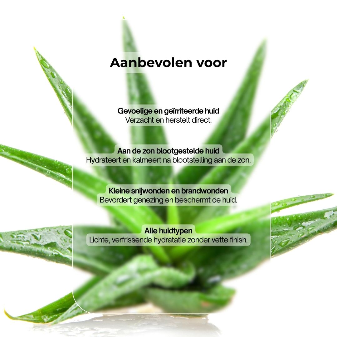 Aloë vera bladeren met tekst. Tekst: Aanbevolen voor: kleine snijwonden, alle huidtypen, gevoelige huid, door de zon gestreste huid.