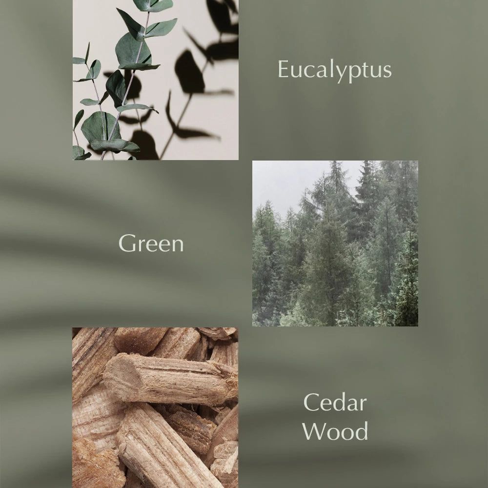 Eucalyptusbladeren met schaduwen op een lichte achtergrond.
