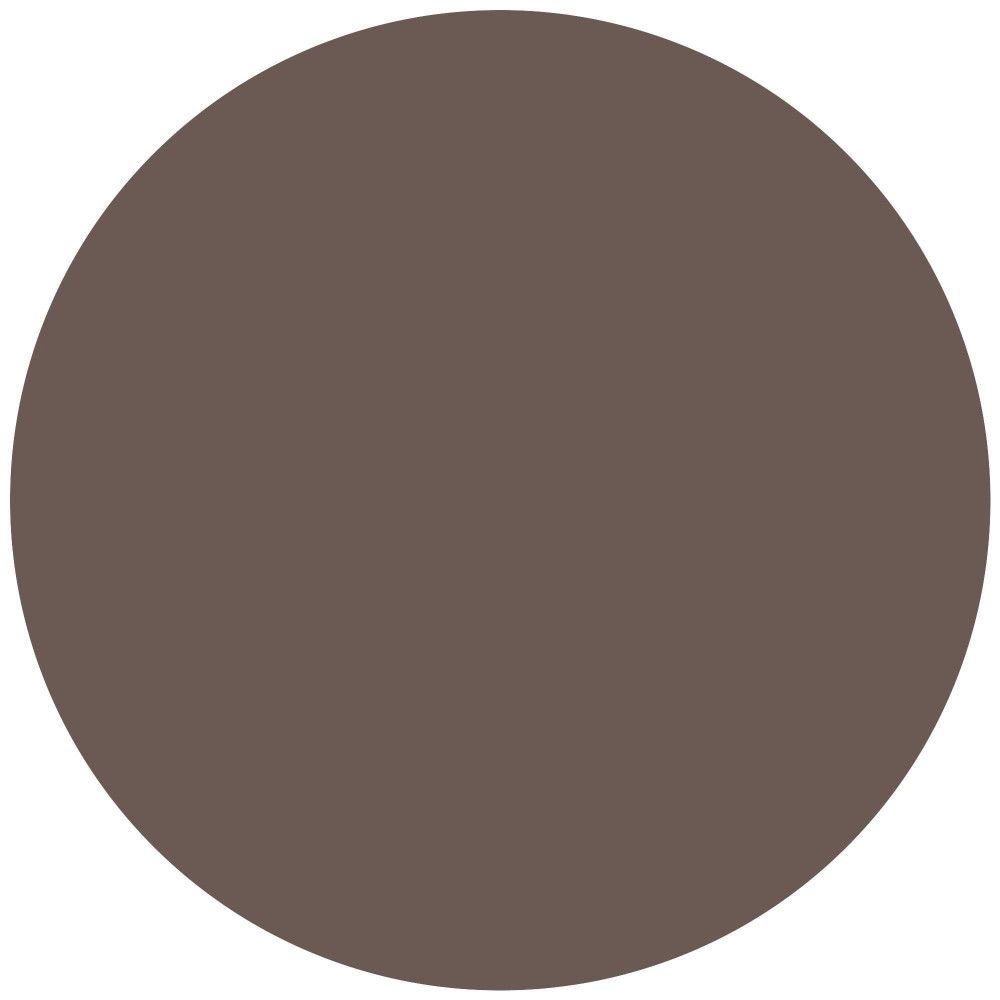 Cercle de couleur marron. Aucun autre détail.