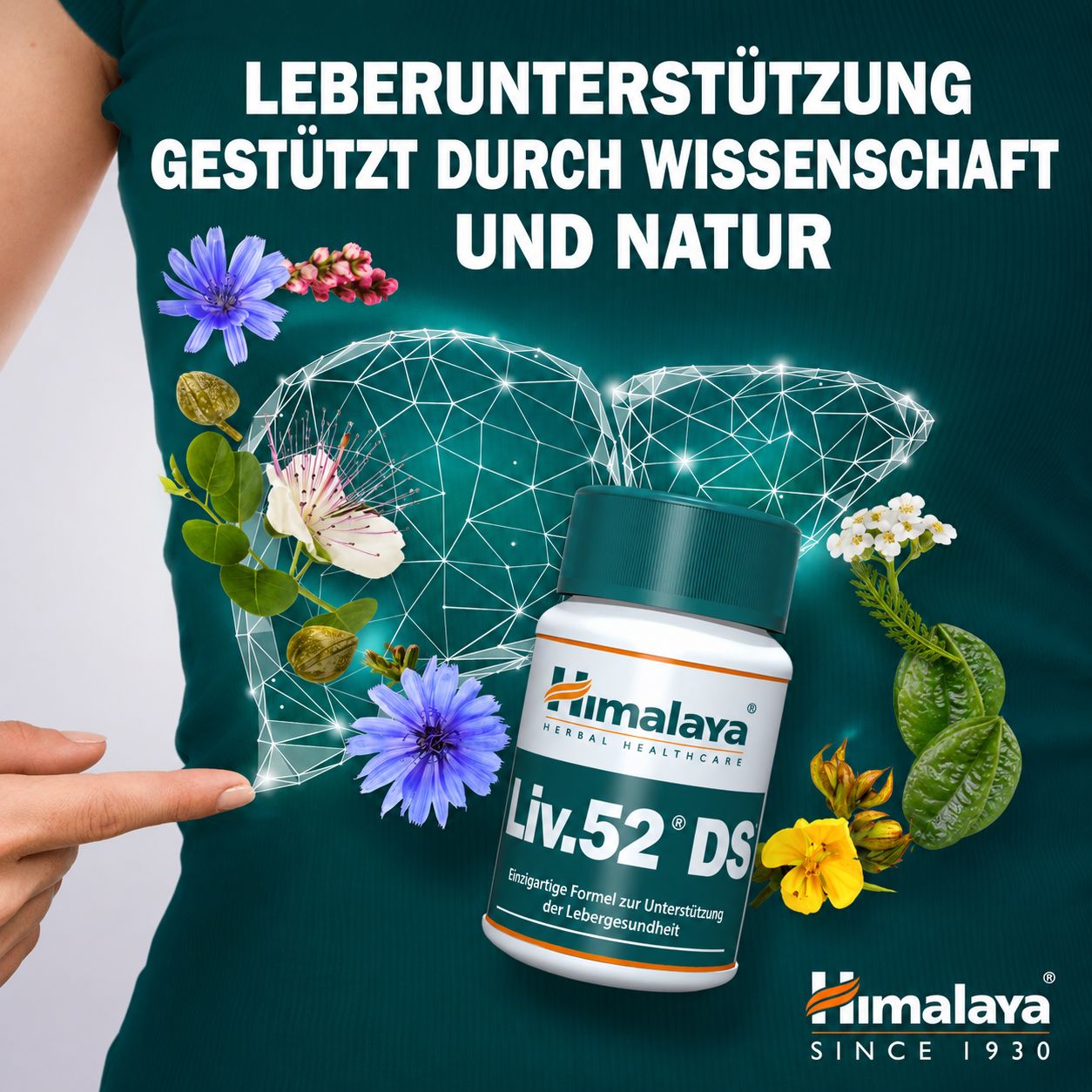 Bouteille de comprimés Himalaya Liv.52 DS avec symbole de foie stylisé et herbes.