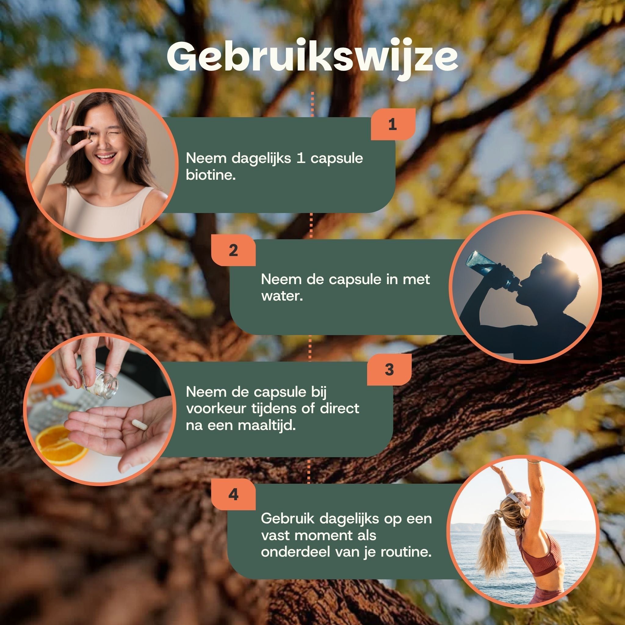 Grafiek over dagelijkse inname van biotine capsules met illustraties en tekst.