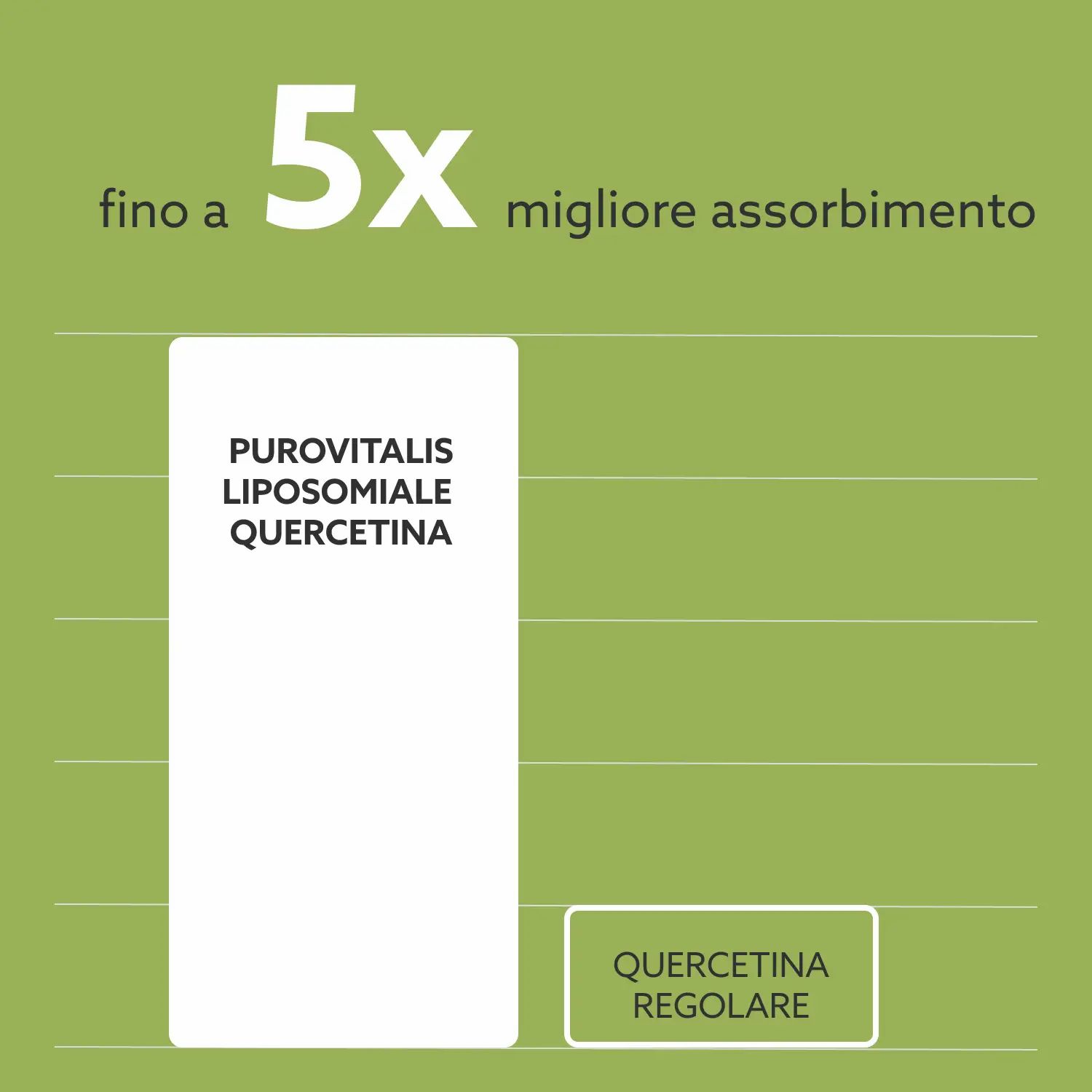 Grafiek: Purovitalis Liposomale Quercetine, tot 5x betere absorptie dan reguliere quercetine.