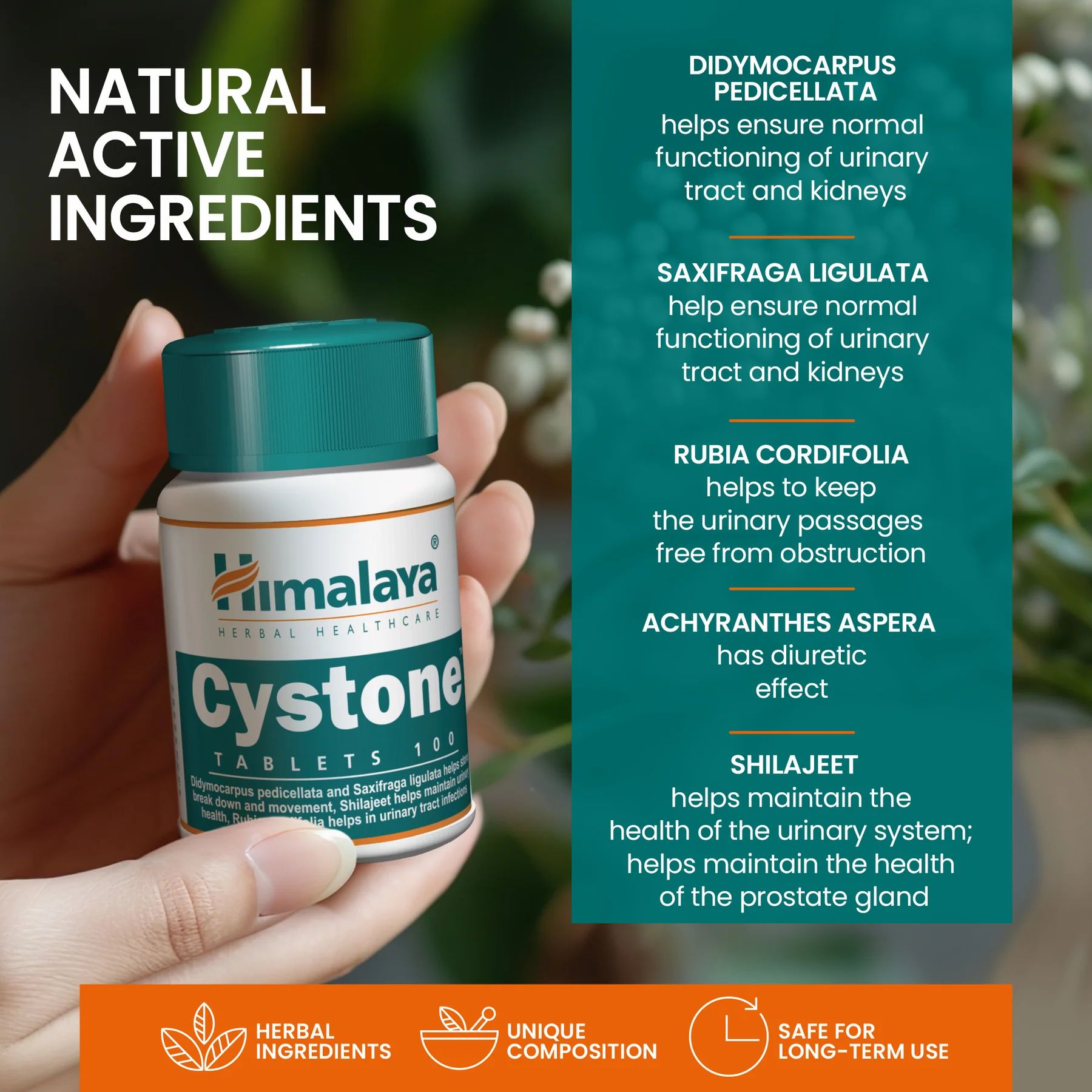 Himalaya Cystone tabletten in een hand. Tekst: Natuurlijke actieve ingrediënten. Kruideningrediënten. Unieke samenstelling.