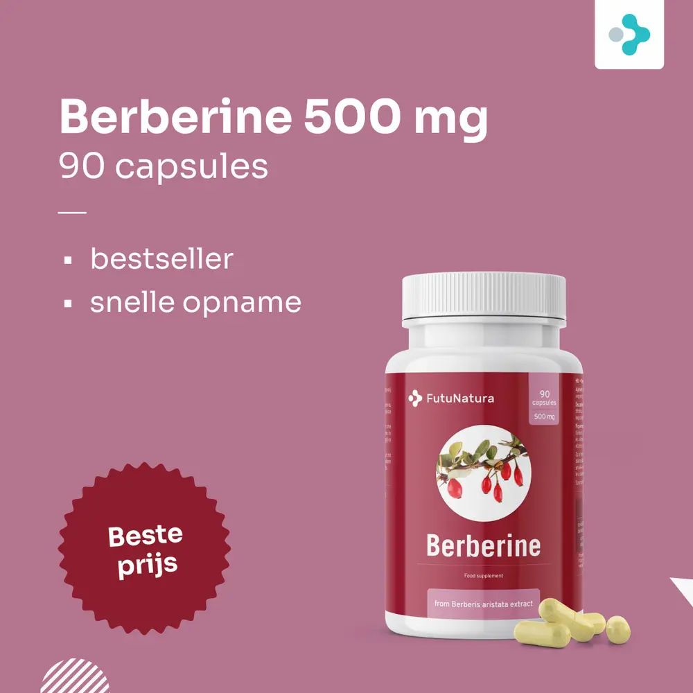 Fles met berberine capsules. Tekst: Berberine 500 mg, 90 capsules. Sticker: Beste prijs.