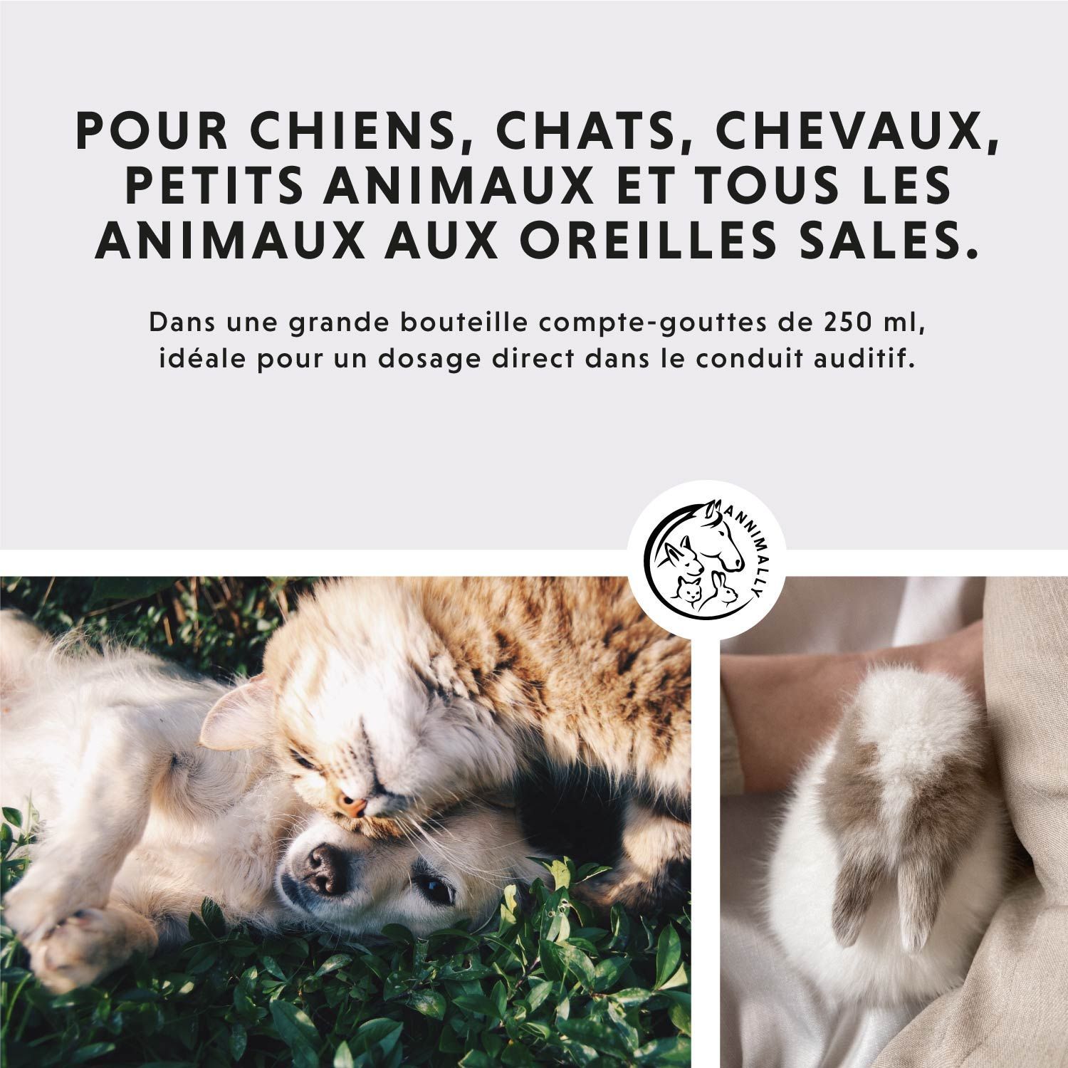 Texte: Pour chiens, chats, chevaux, petits animaux et tous les animaux aux oreilles sales. Image: chien et chat câlin.