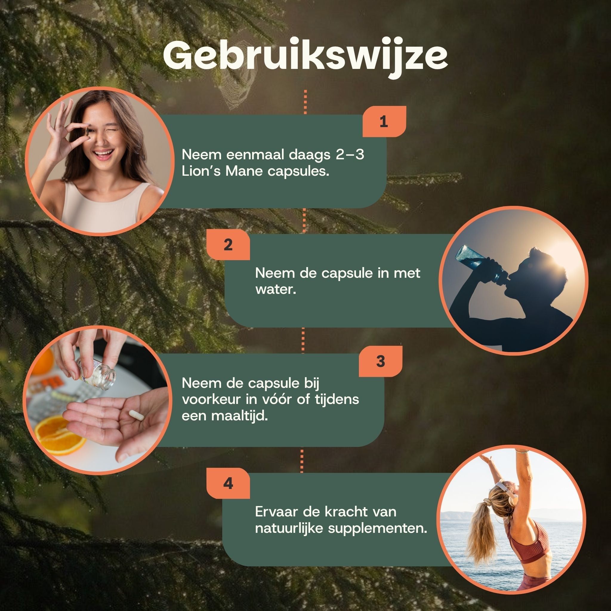 Vier stappen voor het innemen van Lion's Mane capsules: 1. Neem 2-3 capsules per dag. 2. Neem de capsule in met water. 3. Bij voorkeur voor of tijdens een maaltijd. 4. Ervaar de kracht van natuurlijke supplementen.