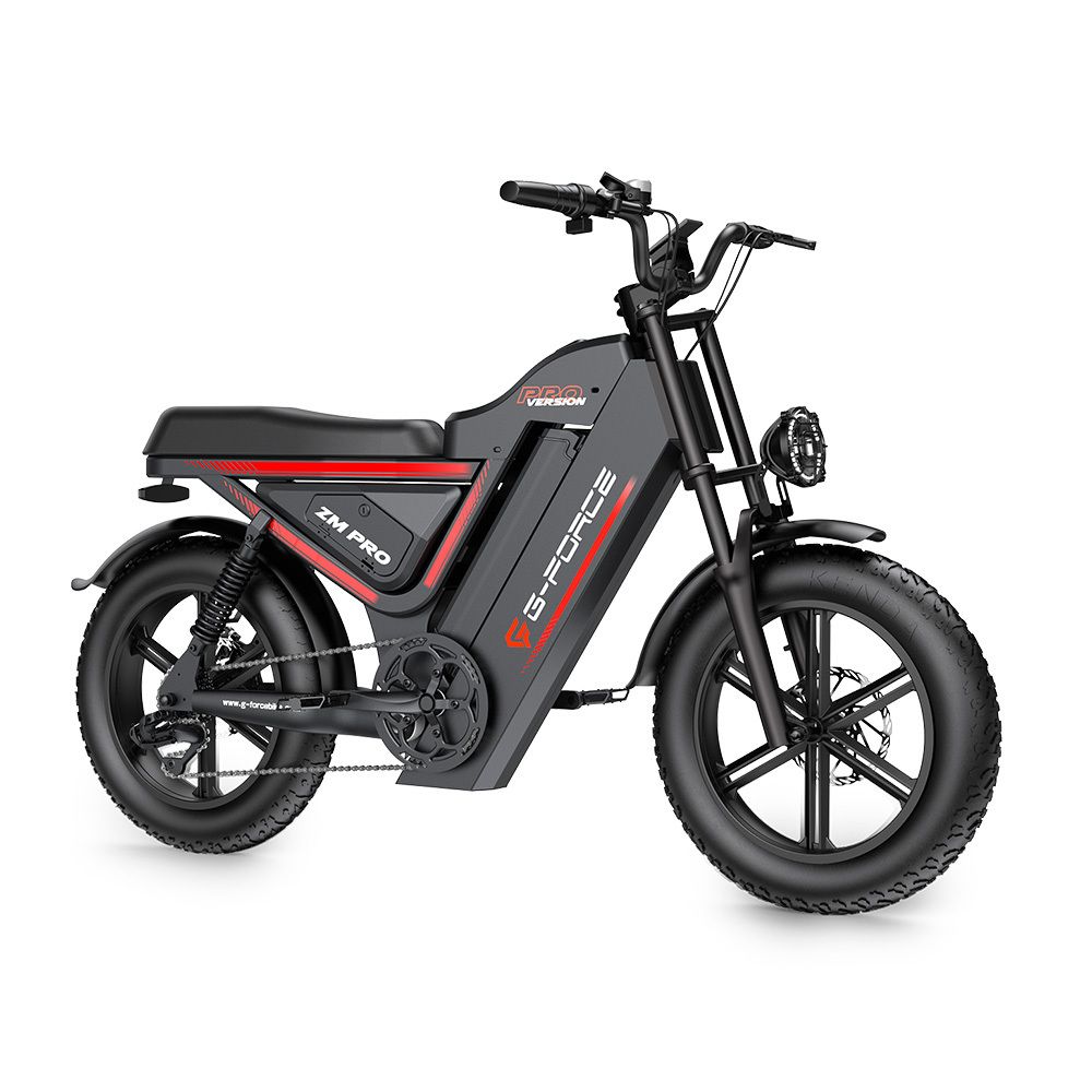 G-FORCE ZM PRO Elektrische mountainbike met 52V 40AH accu en dubbele vering