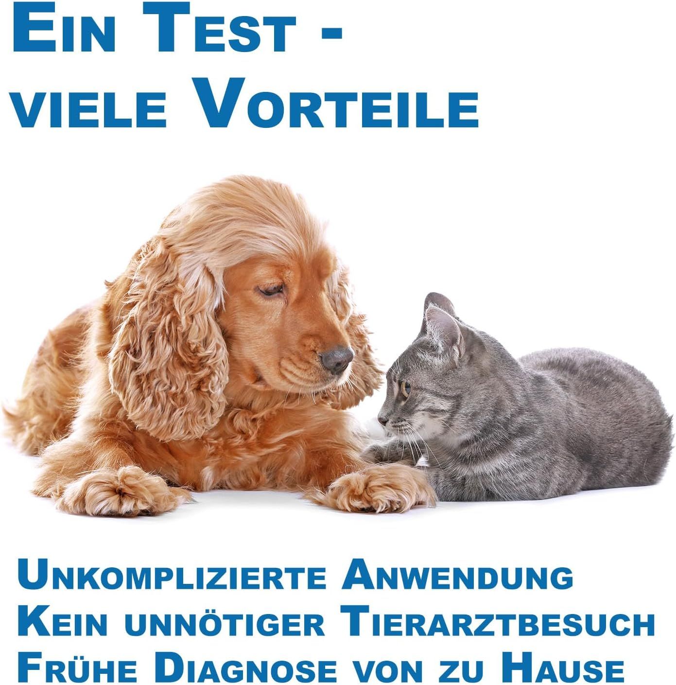Chien et chat couchés côte à côte. Texte: Un test - de nombreux avantages. Utilisation simple. Pas de visites inutiles chez le vétérinaire. Diagnostic précoce à domicile.