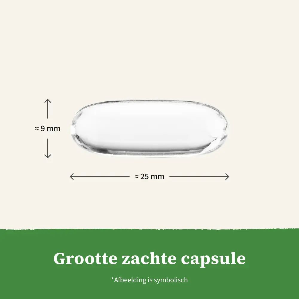 Zachte capsule, ca. 25 mm lang, 9 mm breed. Tekst: Grootte zachte capsule. Afbeelding is symbolisch.