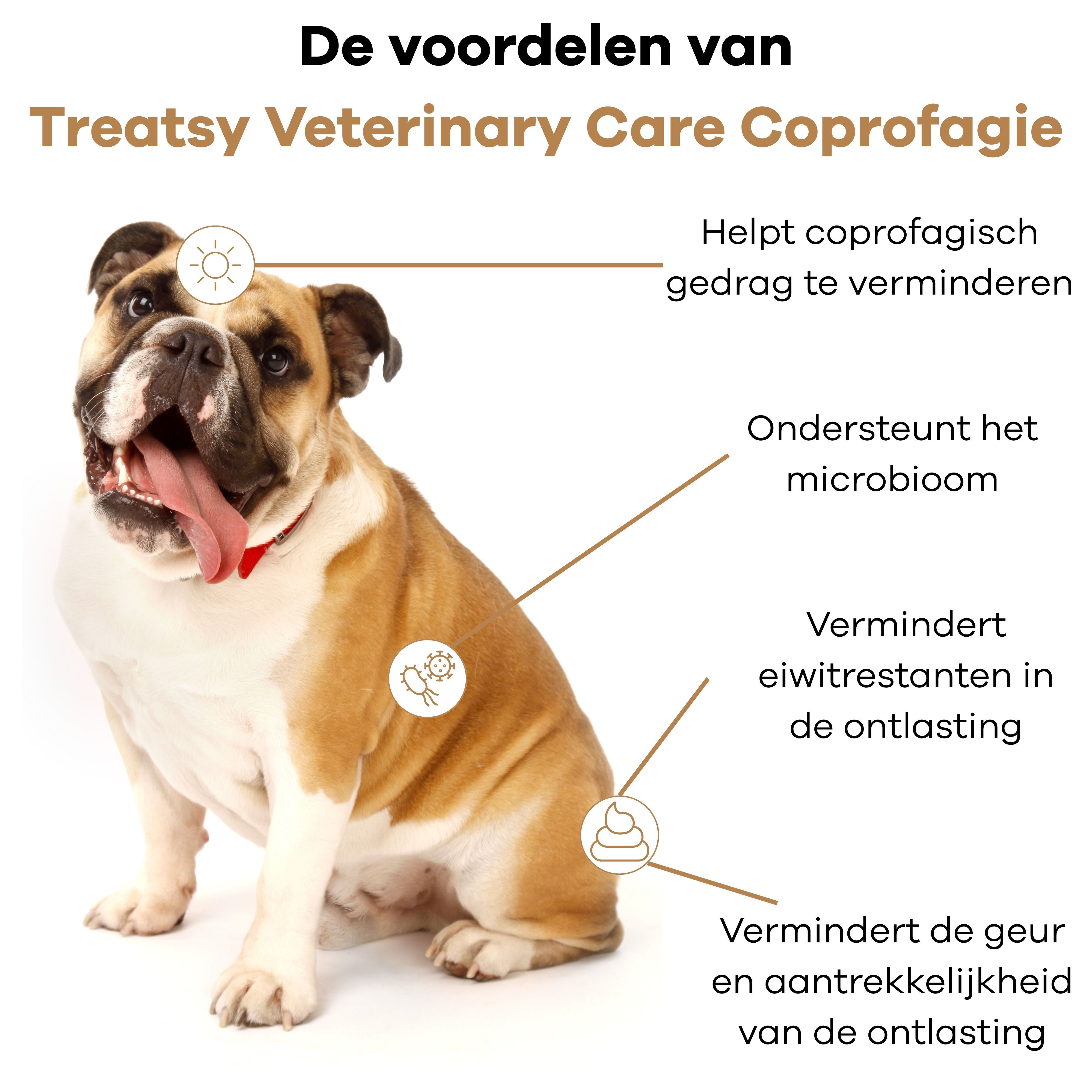 Treatsy – Voedingssupplement tegen coprofagisch gedrag bij honden
