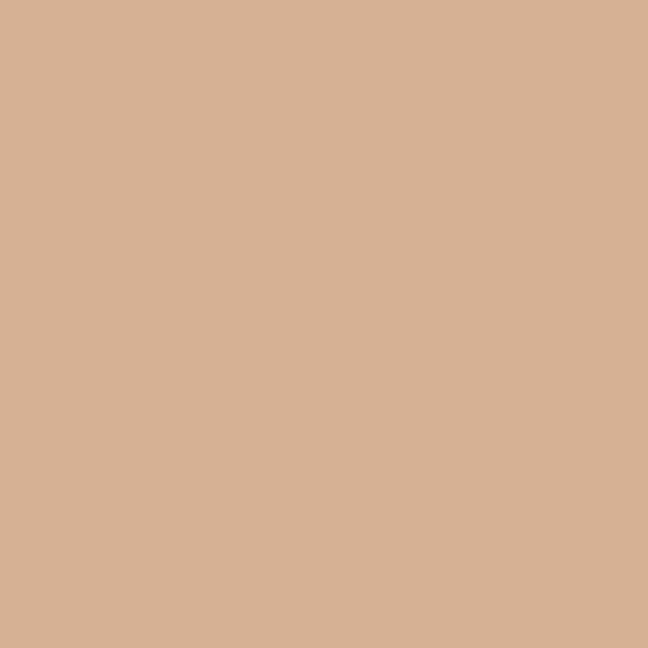 Effen beige achtergrond.