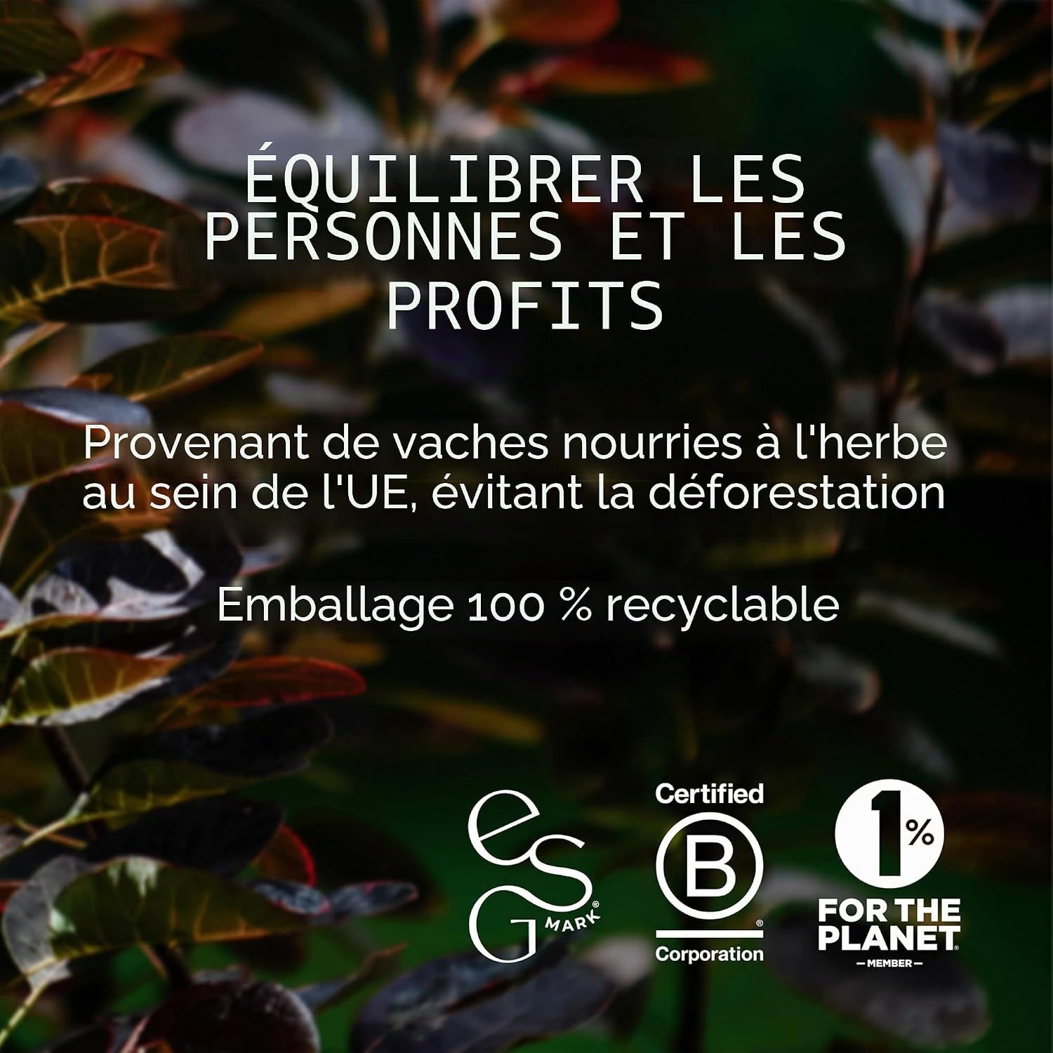 Gros plan sur des feuilles. Texte sur la durabilité et les certifications.
