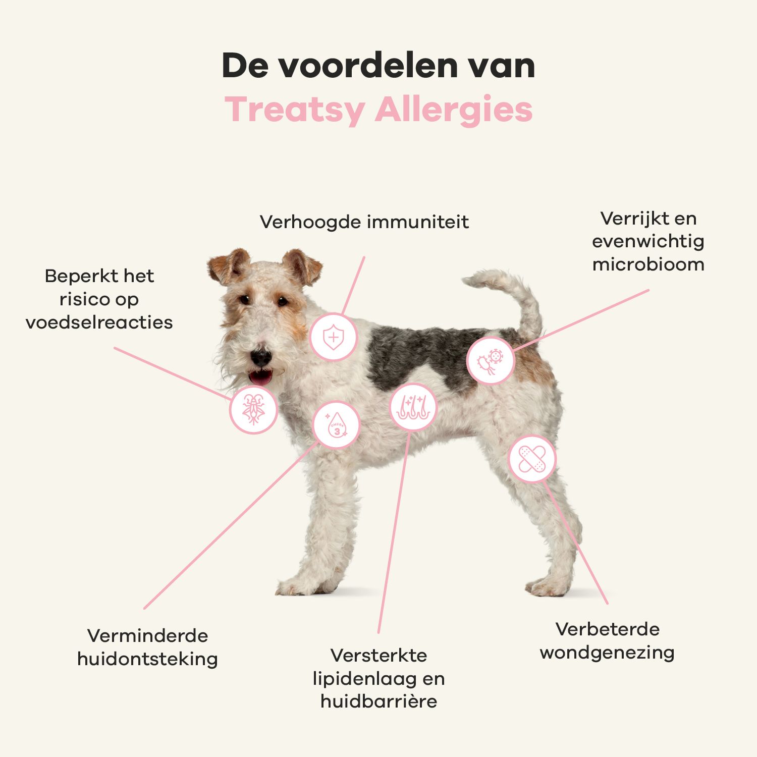 Hond met tekst. Diagram met voordelen van "Treatsy Allergies". Diagram met iconen.