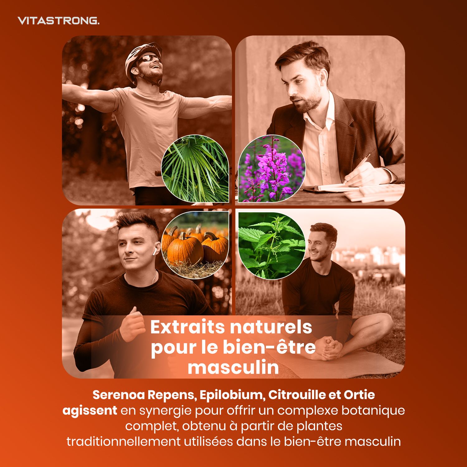 Vitastrong Prosta Pro. Afbeeldingen van planten en mannen. Tekst: Natuurlijke extracten voor mannelijk welzijn.