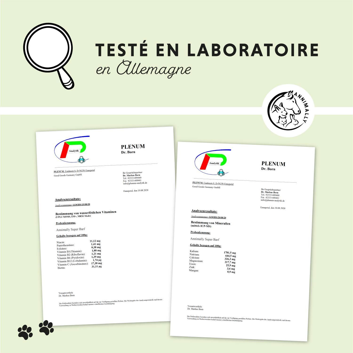 Golden Retriever avec bol. Texte: Application facile. Recommandations alimentaires pour petits, moyens et grands chiens.