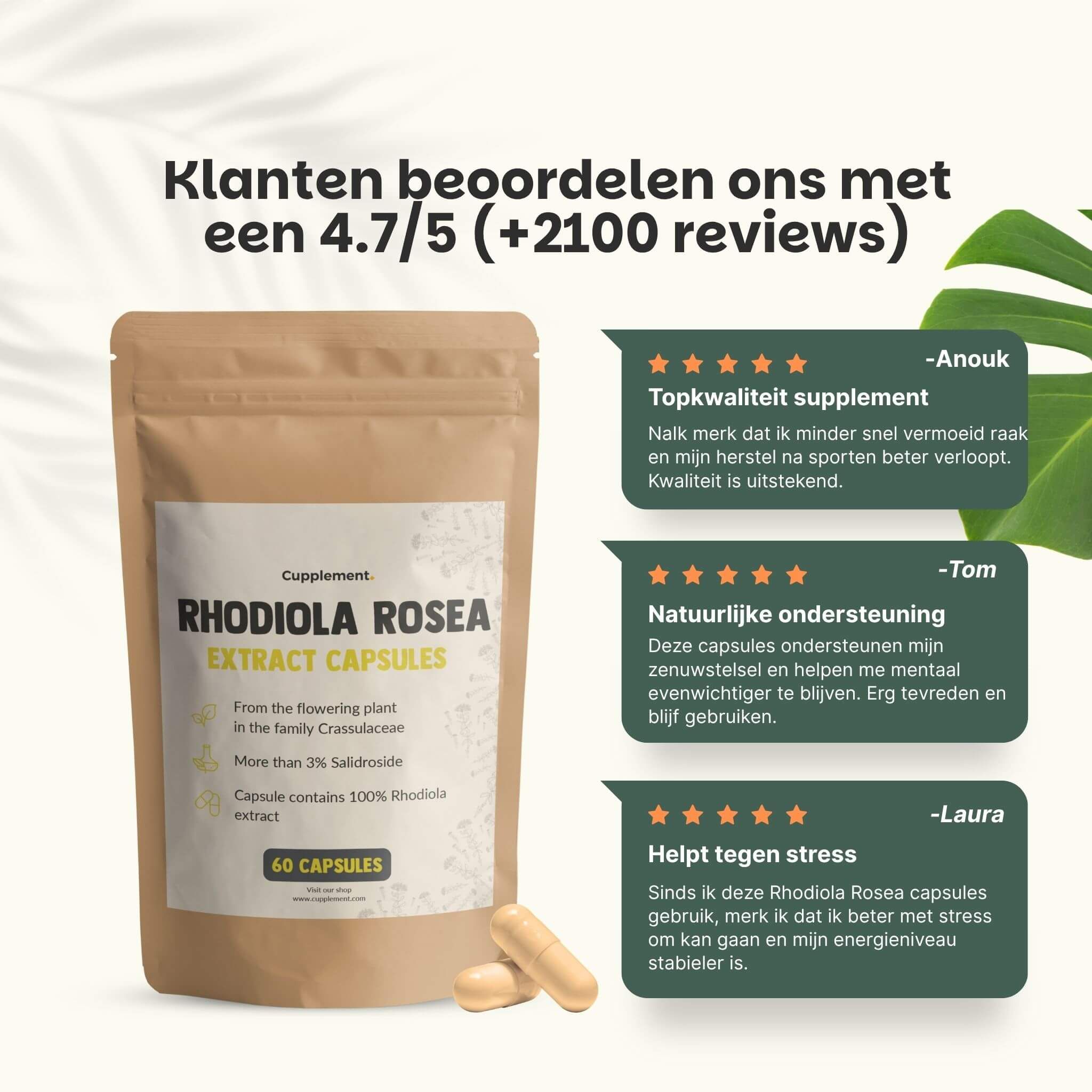 Zakje Cupplement Rhodiola Rosea capsules. Klantenbeoordelingen: 4.7/5. Tekst: Topkwaliteit, natuurlijke ondersteuning, helpt tegen stress.