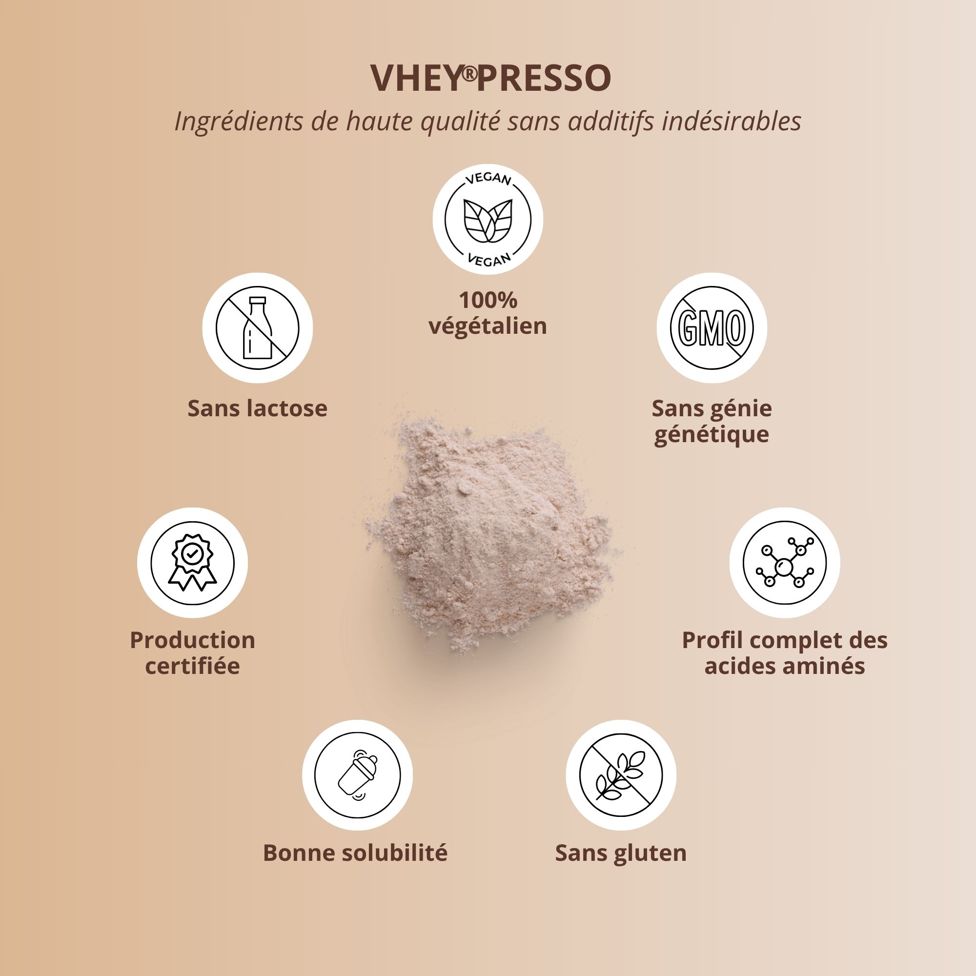 Disposition circulaire d'icônes. Texte: sans lactose, 100% végétalien, sans OGM, production certifiée, bonne solubilité, sans gluten.