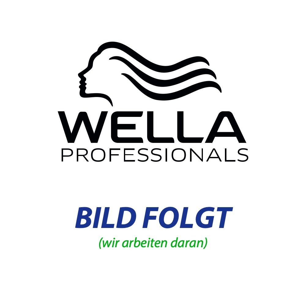 Logo de Wella Professionals. Texte : "BILD FOLGT (wir arbeiten daran)".