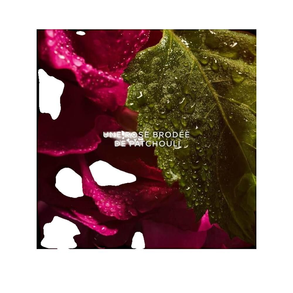 Close-up van roze bloemblaadjes en een groen blad met waterdruppels. Tekst: UNE ROSE BRODÉE DE PATCHOULI.