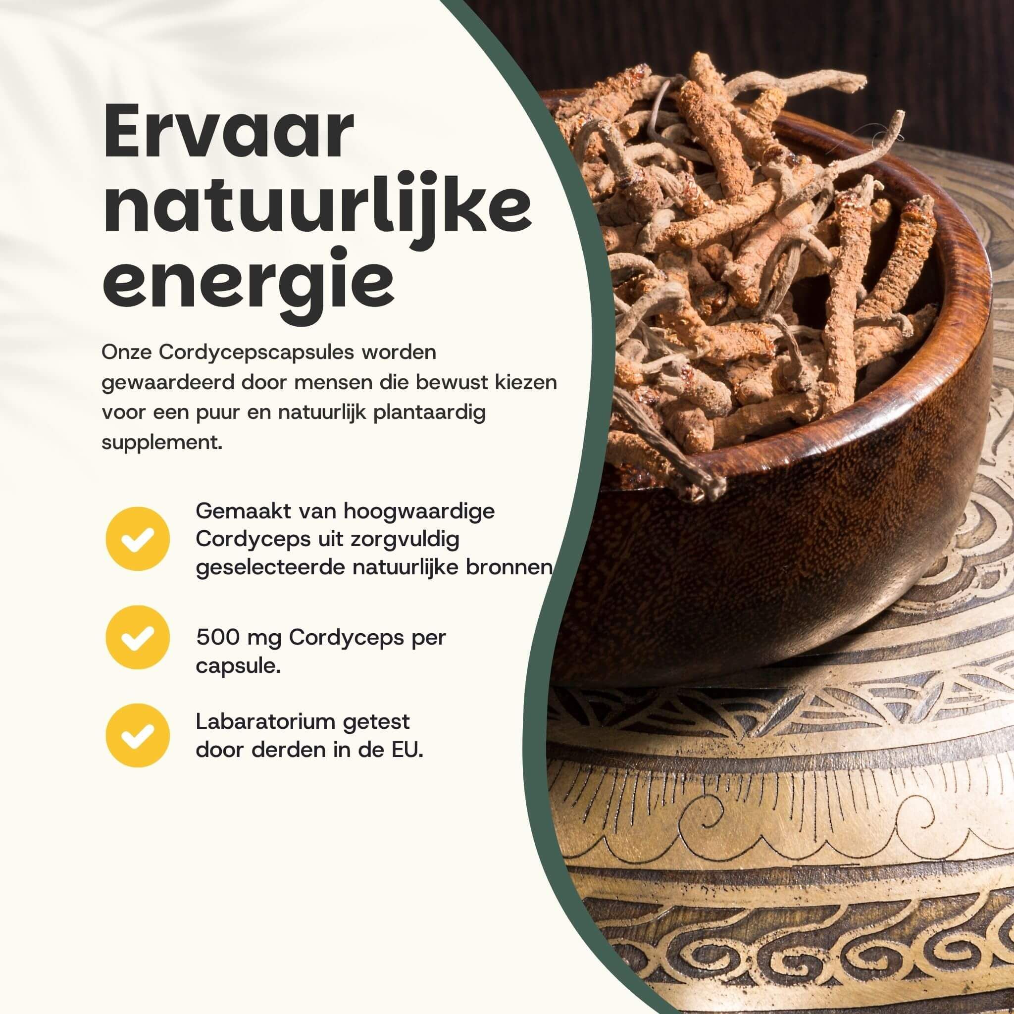 Cordyceps-paddenstoelen in een houten kom. Tekst: Ervaar natuurlijke energie. 500 mg Cordyceps per capsule. Getest in de EU.