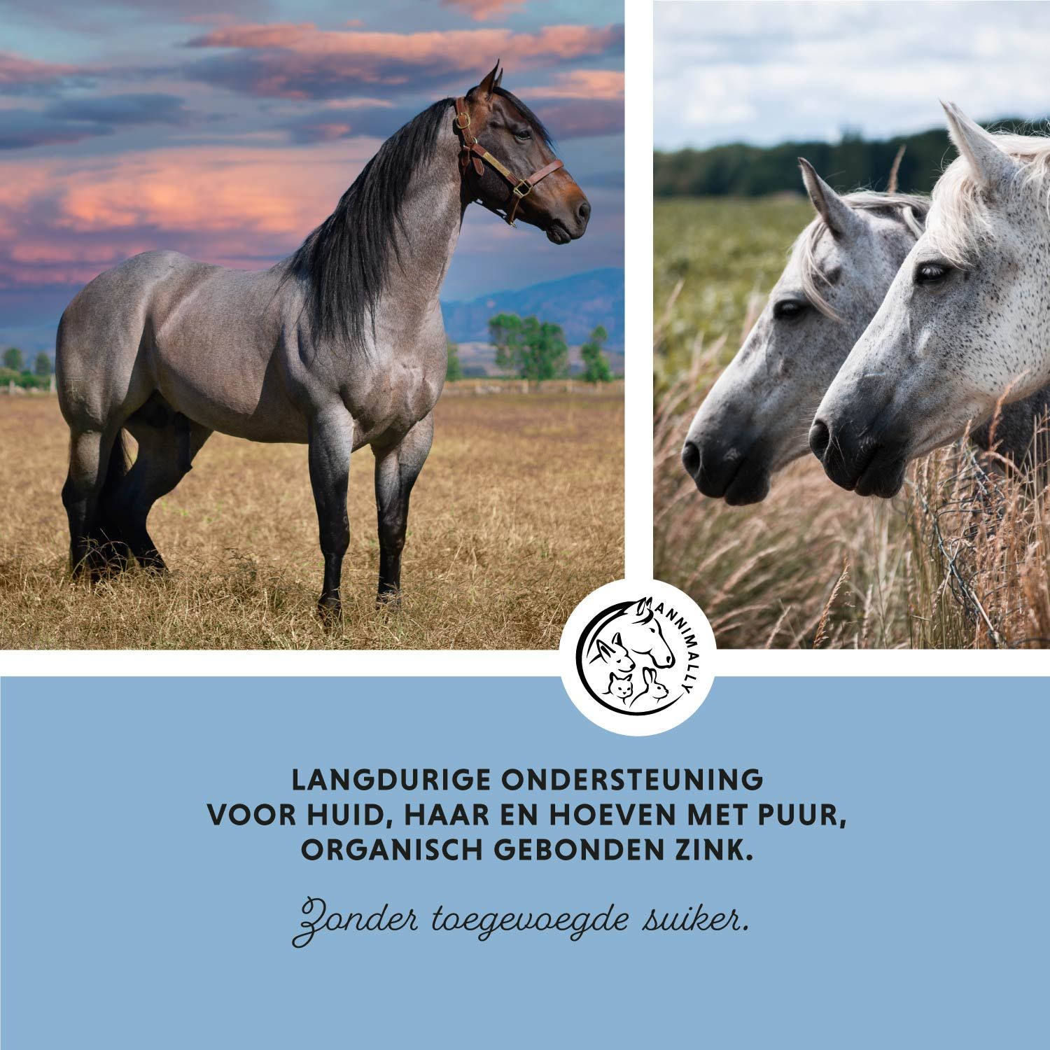 Twee paarden in een weiland. Tekst: Voedingsadvies. Inhoud: 700 g. Gemaakt in Duitsland. Logo.