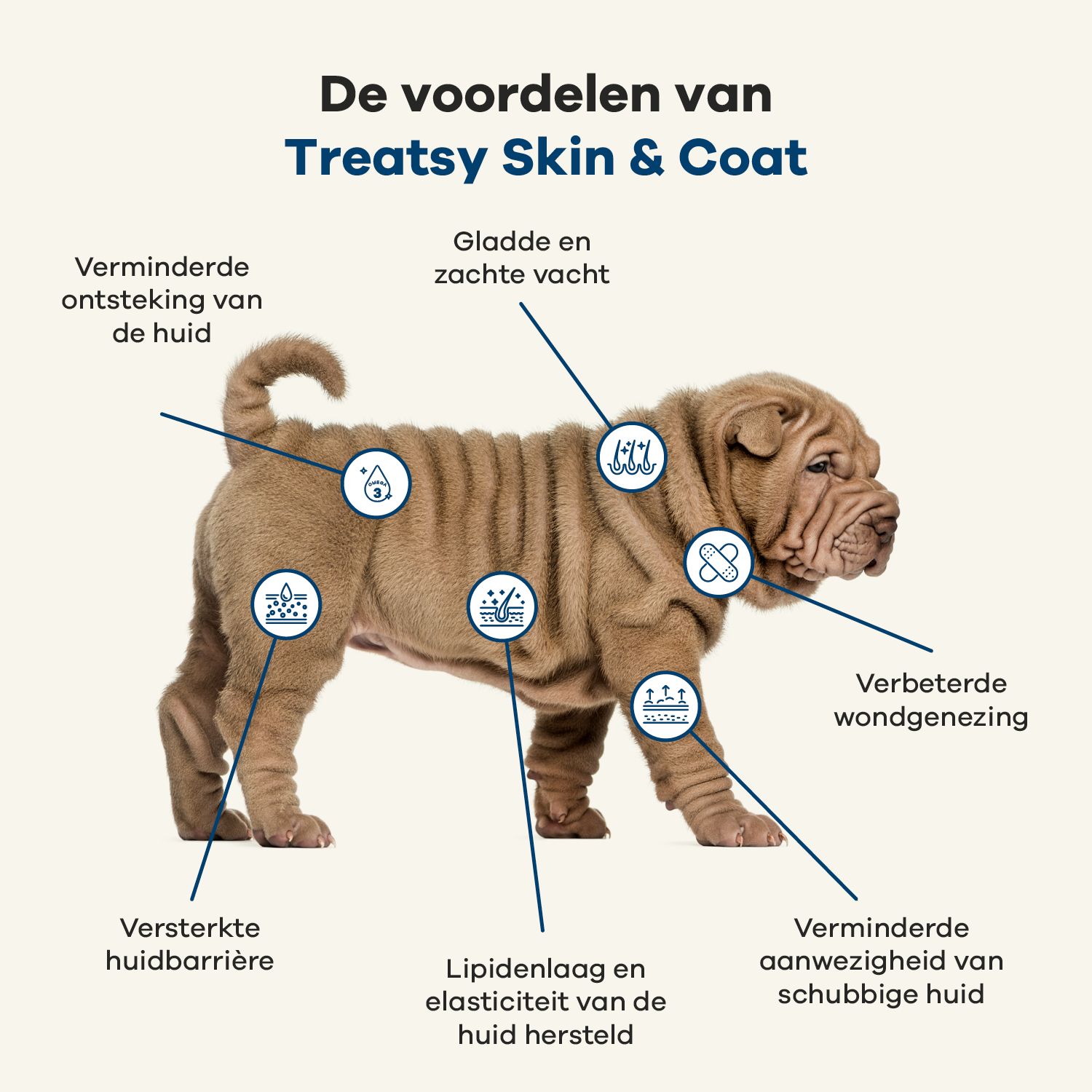 Hond met markeringen. Tekst: Voordelen van Treatsy Skin & Coat. Verminderde huidontsteking, gladde vacht, etc.
