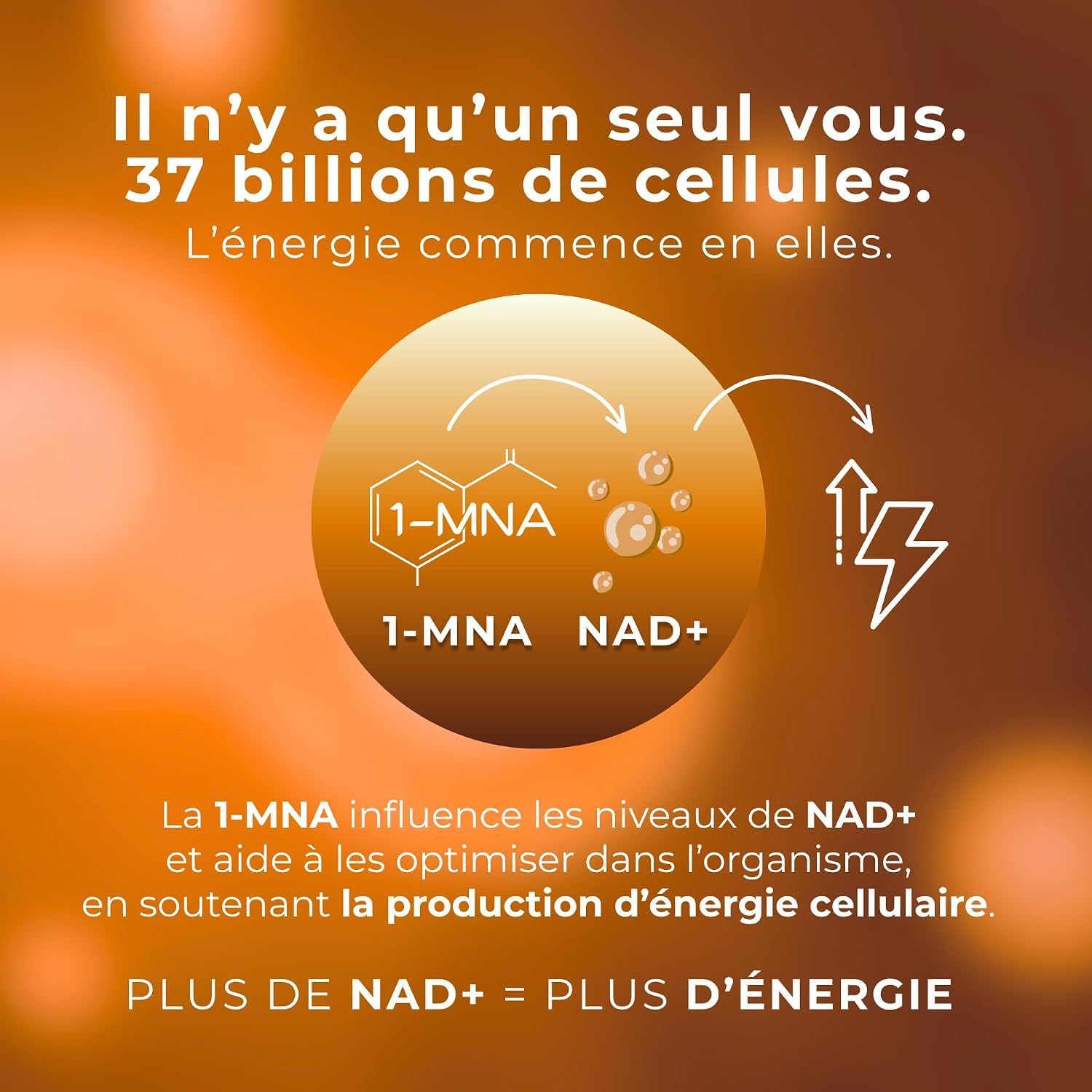 Représentation graphique de 1-MNA et NAD+ avec des flèches symbolisant un processus.