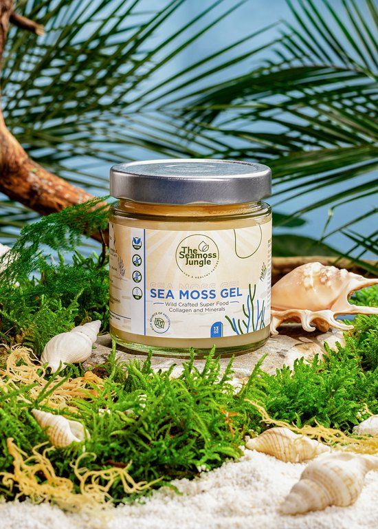Pot Sea Moss Gel. Opschriften: The Seamoss Jungle, Sea Moss Gel, Wild Crafted Super Food. Omringd door schelpen en planten.