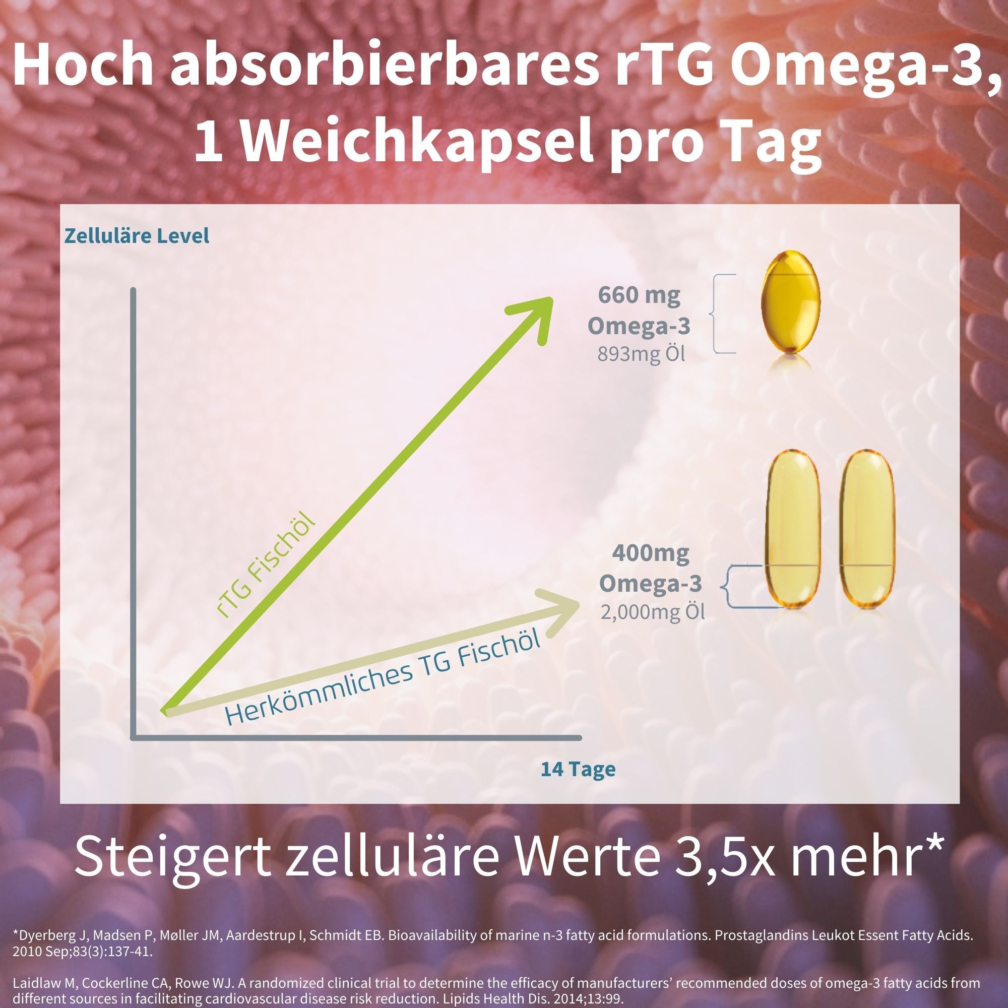 Graphique montrant une absorption cellulaire plus élevée d'huile de poisson rTG par rapport à l'huile de poisson standard.