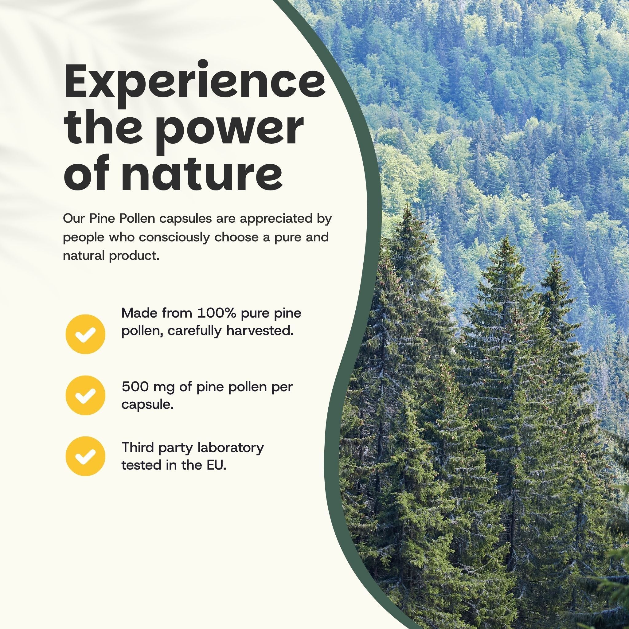 Texte : Découvrez le pouvoir de la nature. 100 % pollen de pin pur. 500 mg par gélule. Testé dans l'UE.