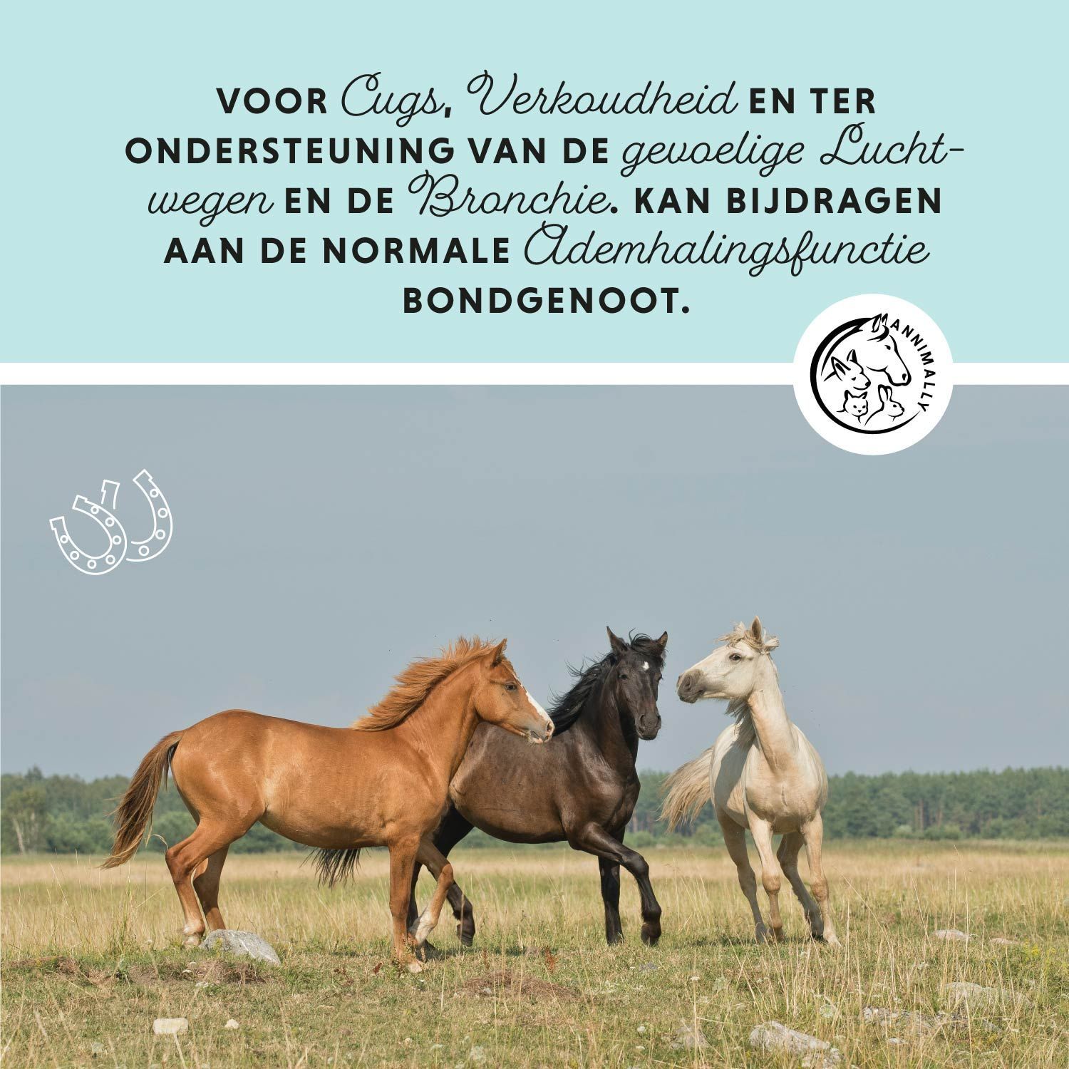 Drie paarden in een veld. Tekst: Voor hoest, verkoudheid en ter ondersteuning van de luchtwegen en de bronchiën.