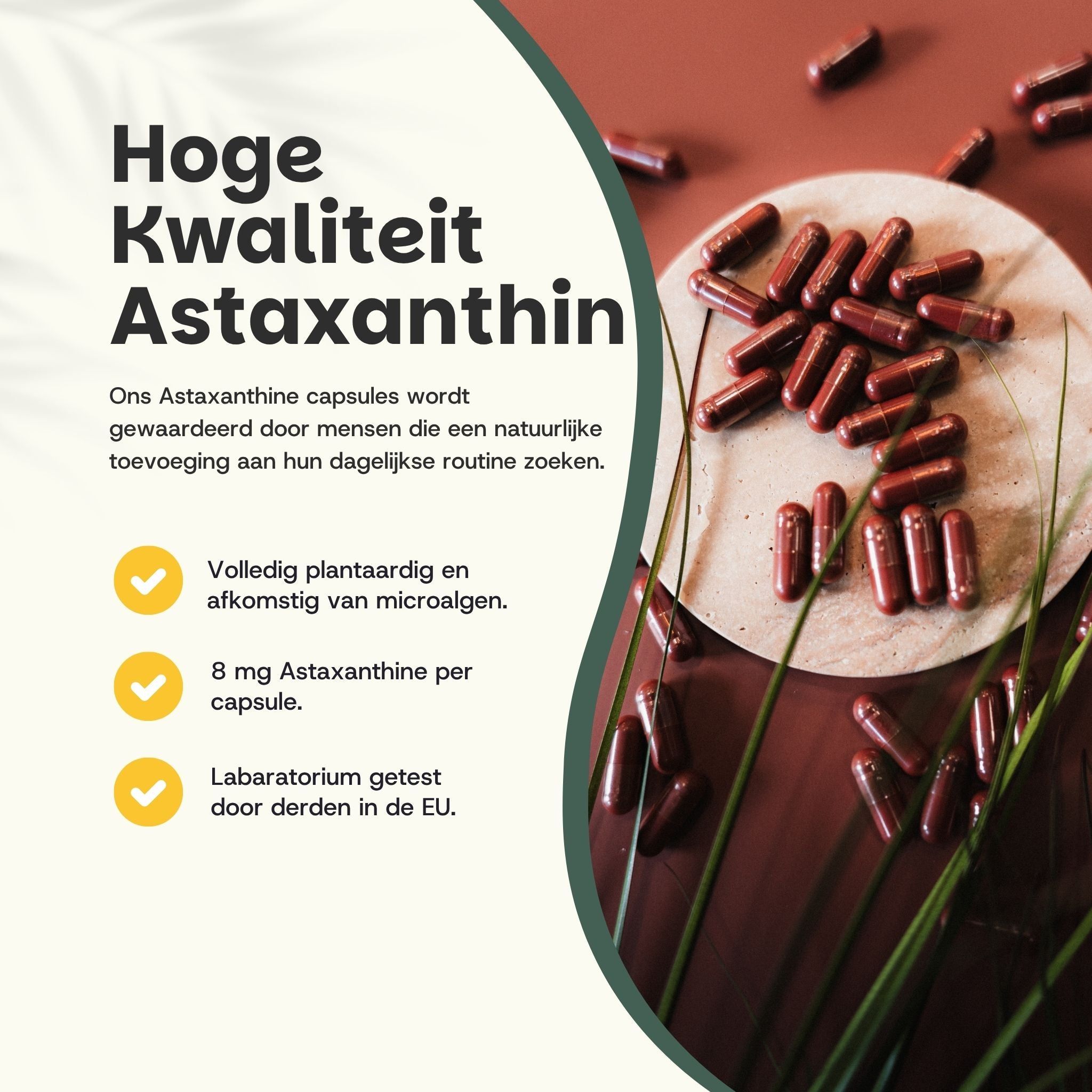 Bruine astaxanthine capsules op hout. Tekst: 'Hoge Kwaliteit Astaxanthine'. 8 mg astaxanthine per capsule.