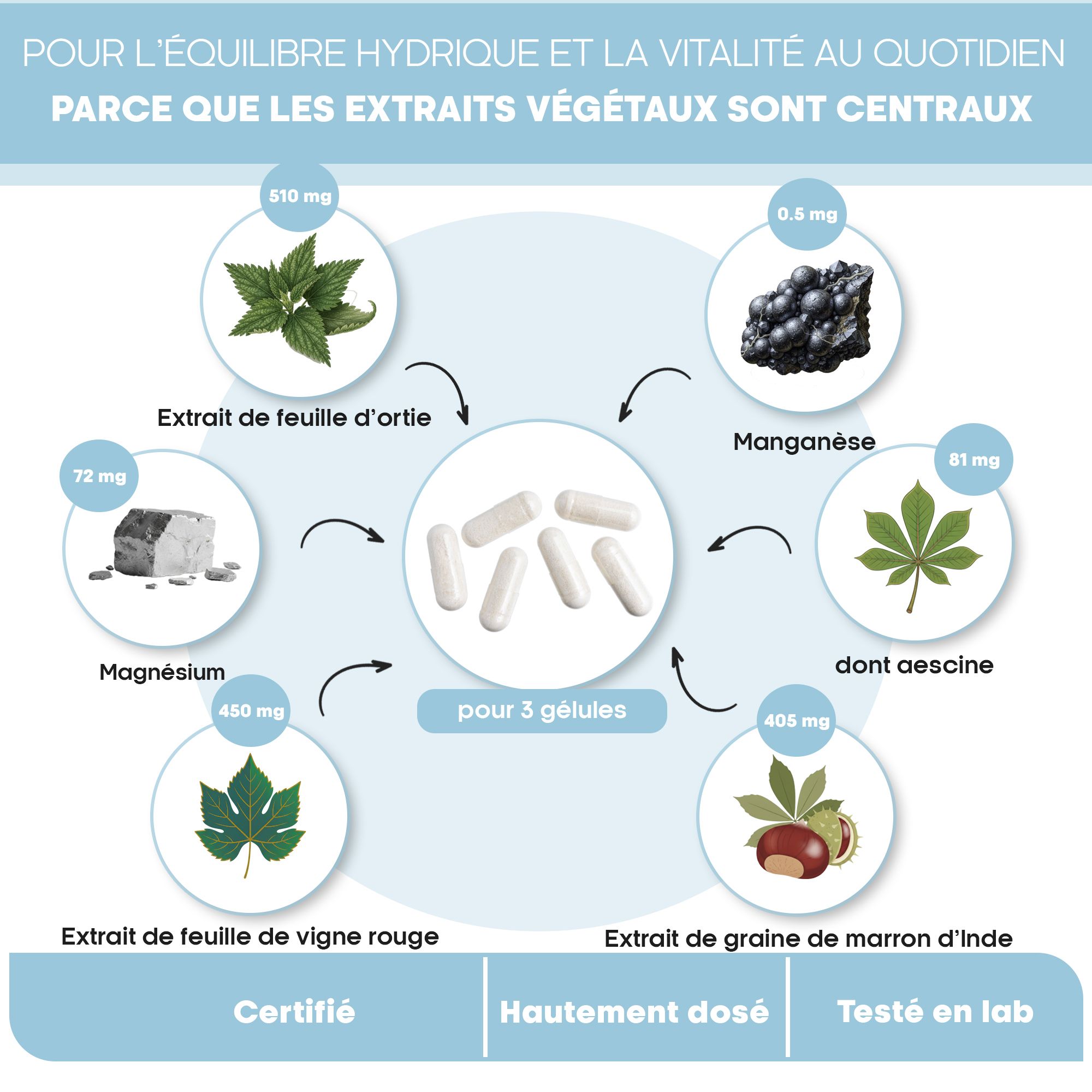 Schéma des ingrédients d'Aqua Balance : ortie, manganèse, marron d'Inde.