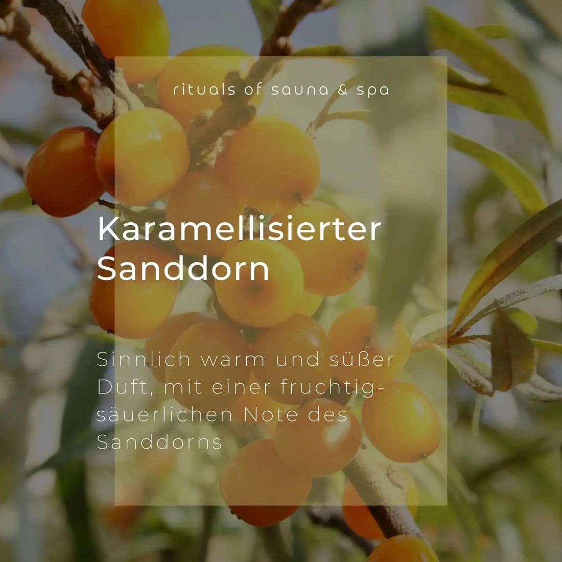 Close-up van duindoornbessen aan een tak. Tekst: Karamellisierter Sanddorn, sensueel warme en zoete geur.