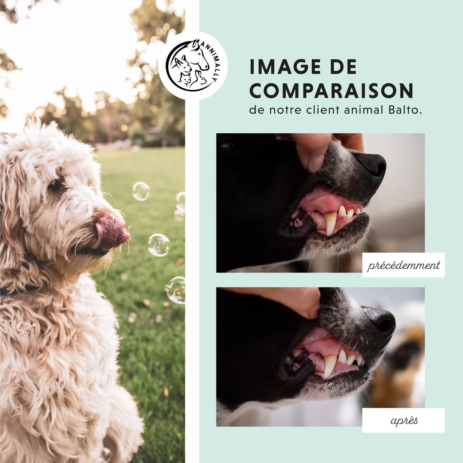 Emballage du produit. Inscription: ORAL Vital. Logo. Texte: Traitement naturel du tartre et de la plaque. Chien avec gueule ouverte.