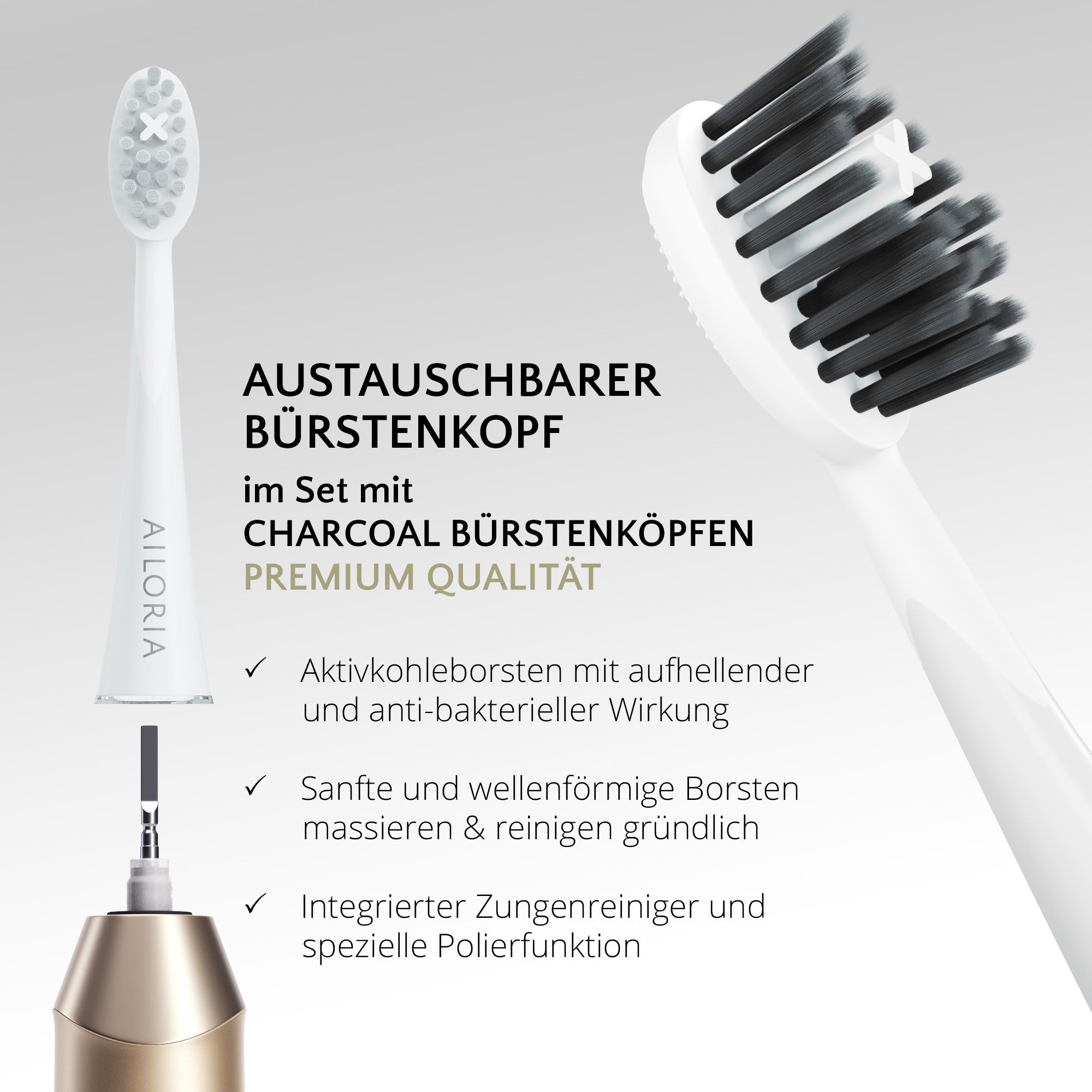 Gros plan d'une tête de brosse remplaçable avec des poils au charbon actif. AILORIA.