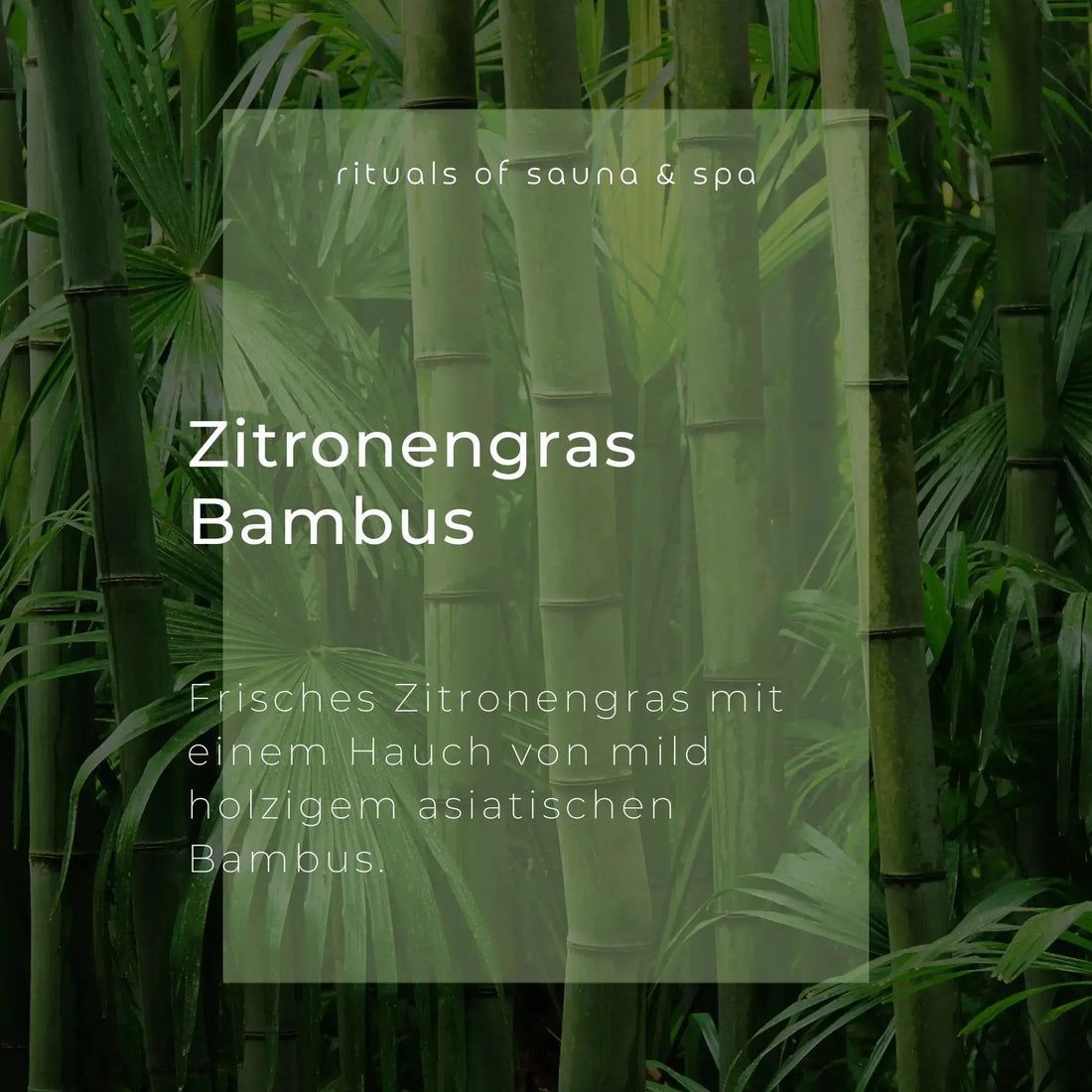 Zitronengras Bambus. Tekst op groene achtergrond. Tekst: Verse citroengras met een vleugje mild houterige Aziatische bamboe.