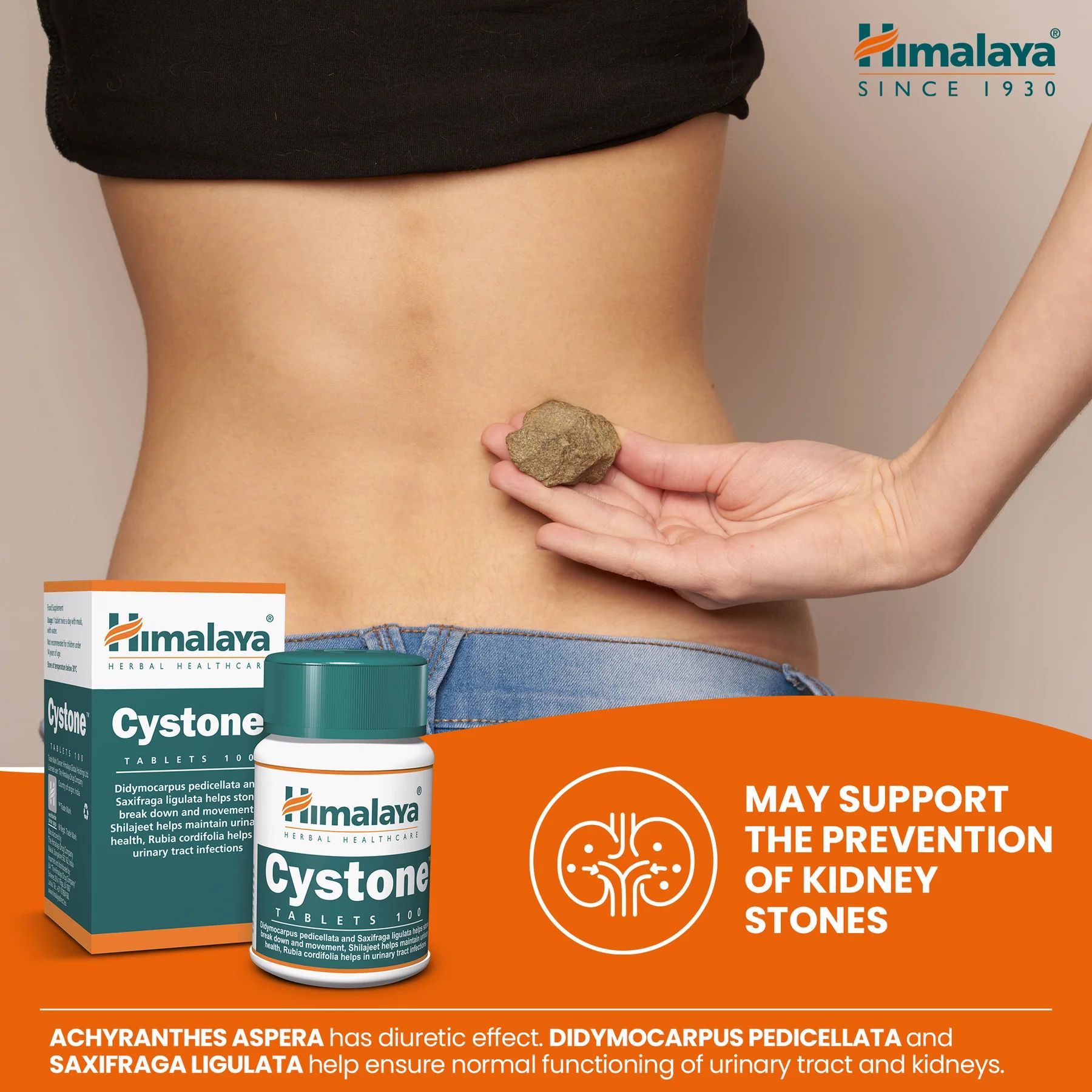 Himalaya Cystone tabletten en een persoon die een steen vasthoudt. Tekst: Kan de preventie van nierstenen ondersteunen.