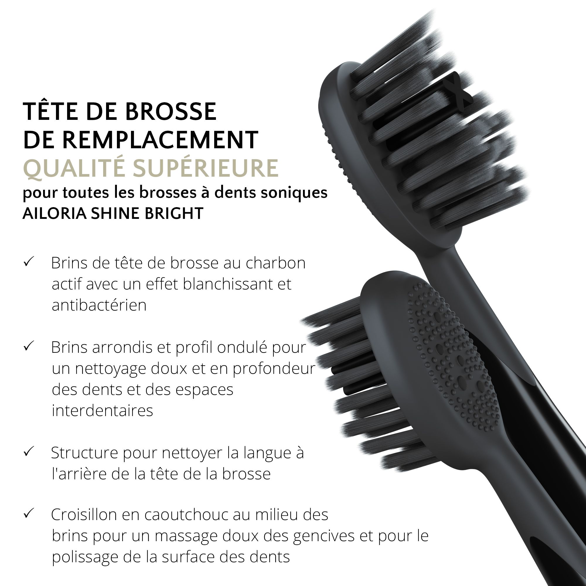 Deux têtes de brosse noires. Texte: Tête de remplacement, Qualité supérieure, pour brosses à dents soniques AILORIA SHINE BRIGHT.
