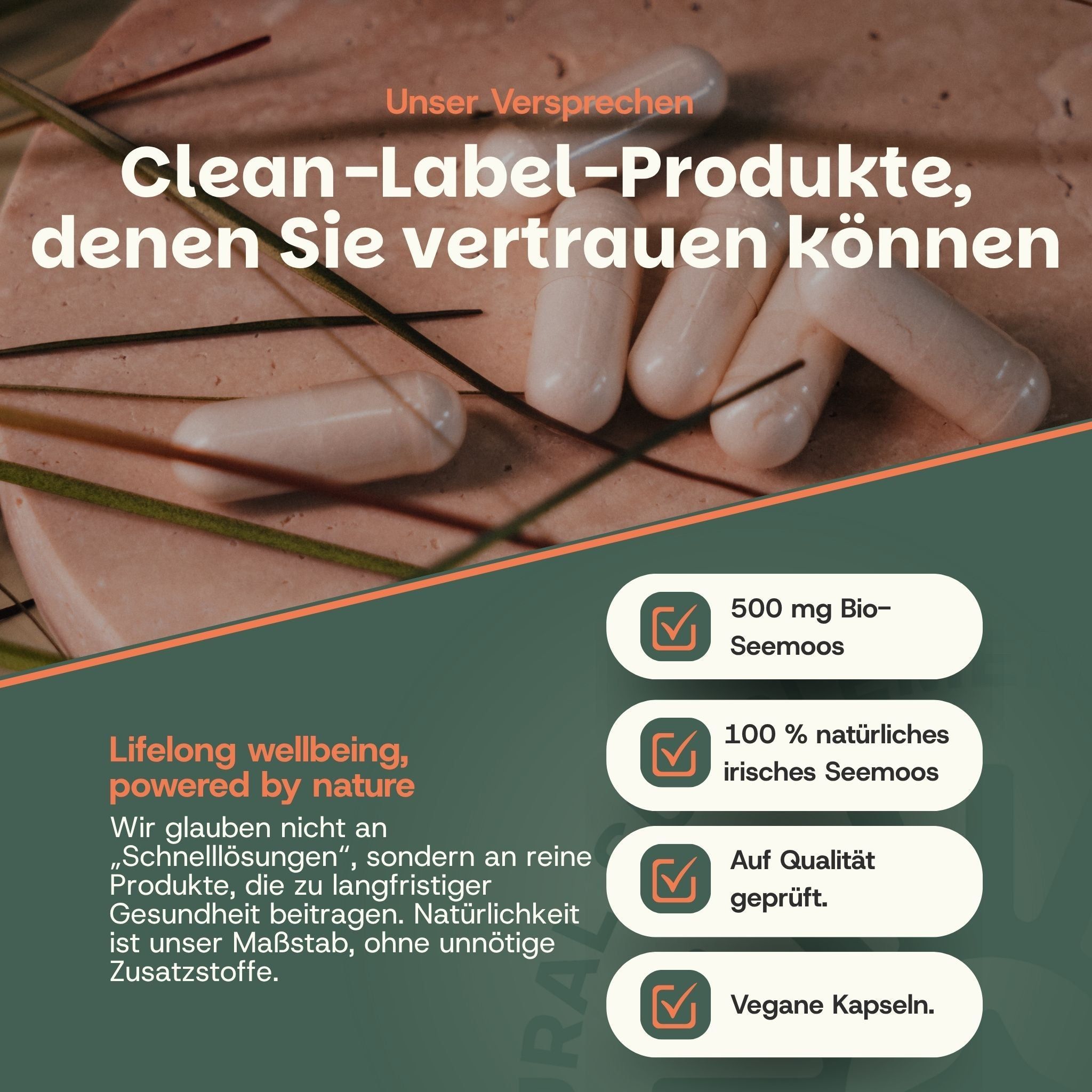 Cinq gélules de 500 mg de Seemoss bio, 100% naturel, qualité testée, gélules véganes.