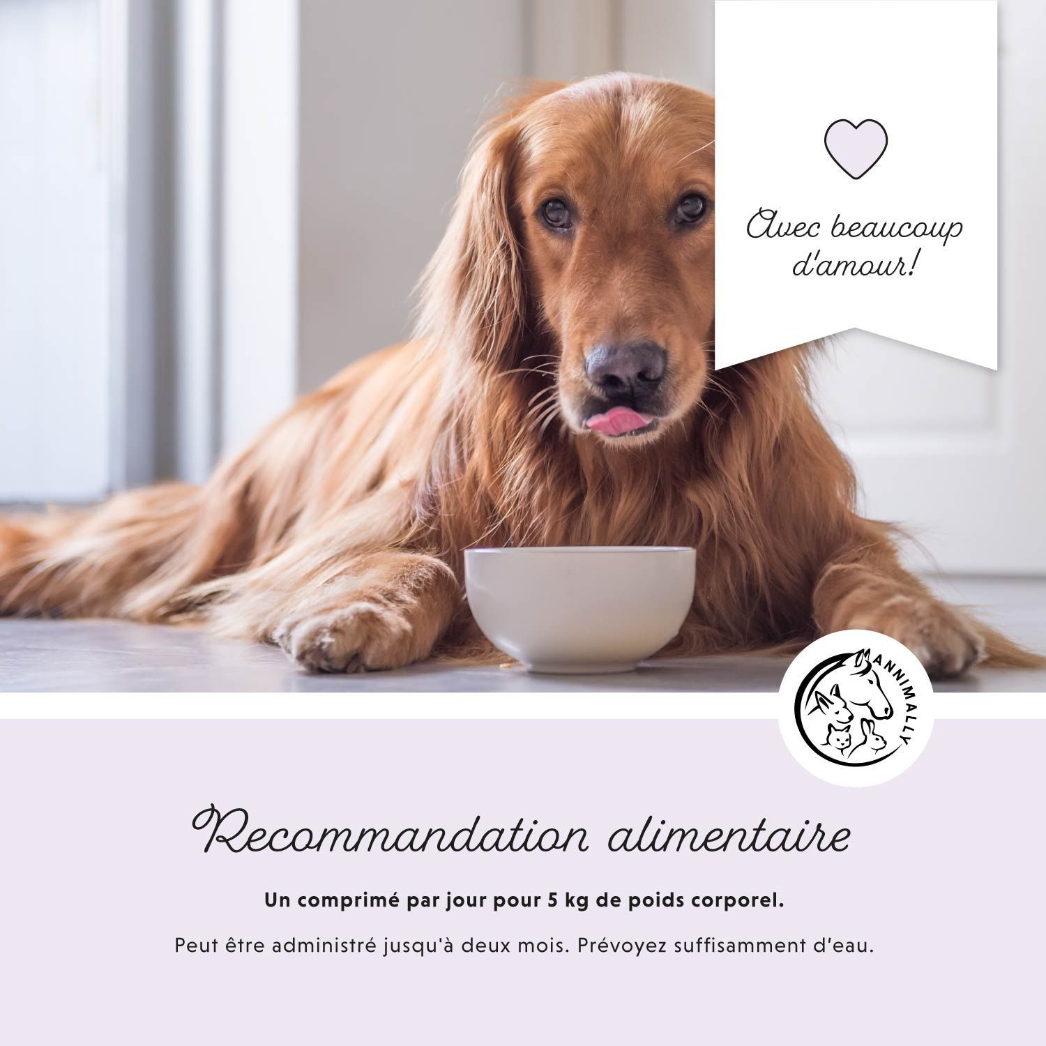 Chien doré avec bol. Texte: Recommandation alimentaire. Un comprimé par jour pour 5 kg de poids corporel.