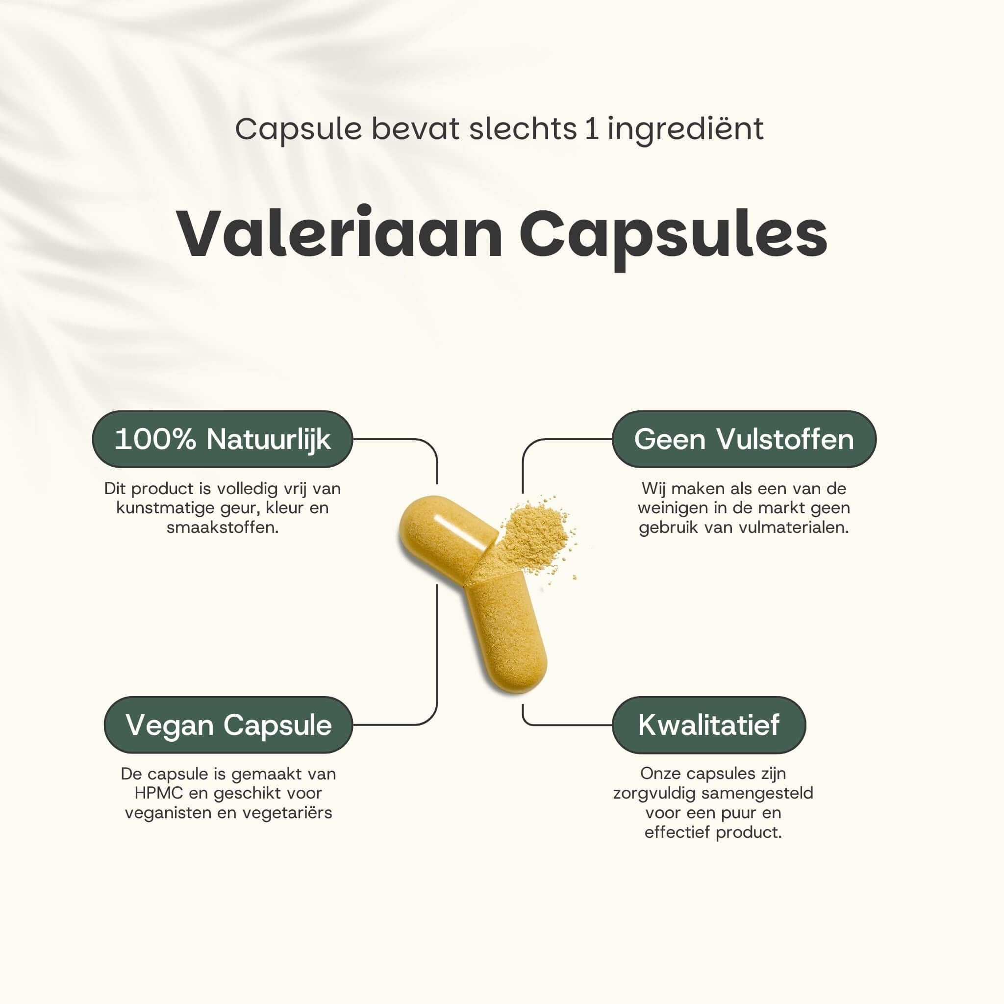 Capsule met valeriaanpoeder. Tekst: 100% natuurlijk, geen vulstoffen, vegan capsule, kwalitatief.