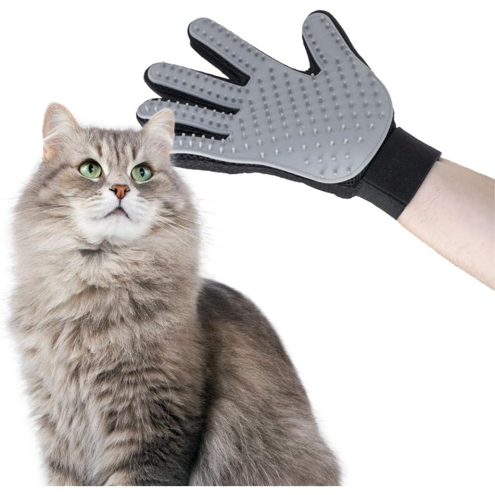 Gant de massage gris sur un chat. Bracelet noir au poignet. Chat gris aux yeux verts. Pour animaux de compagnie.