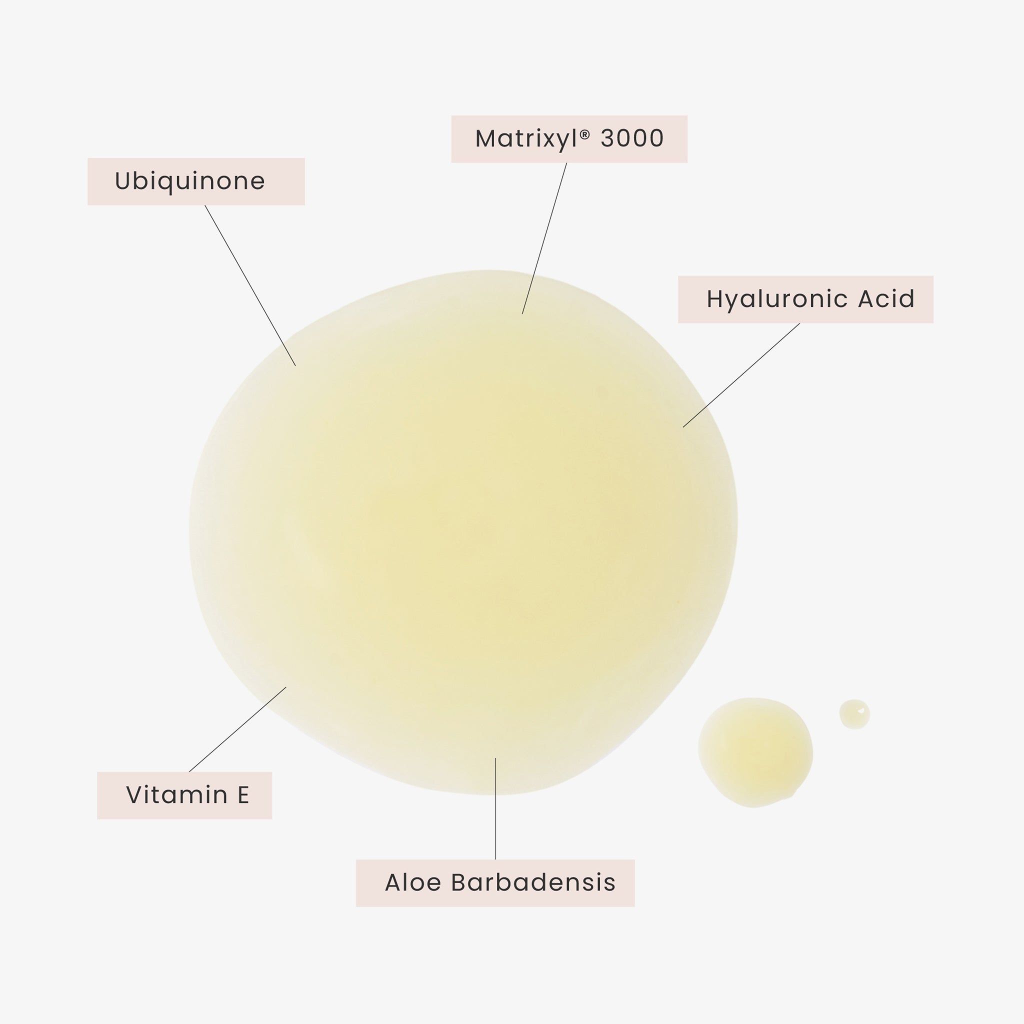 Timeless Skin Care Coenzyme Q10 Serum