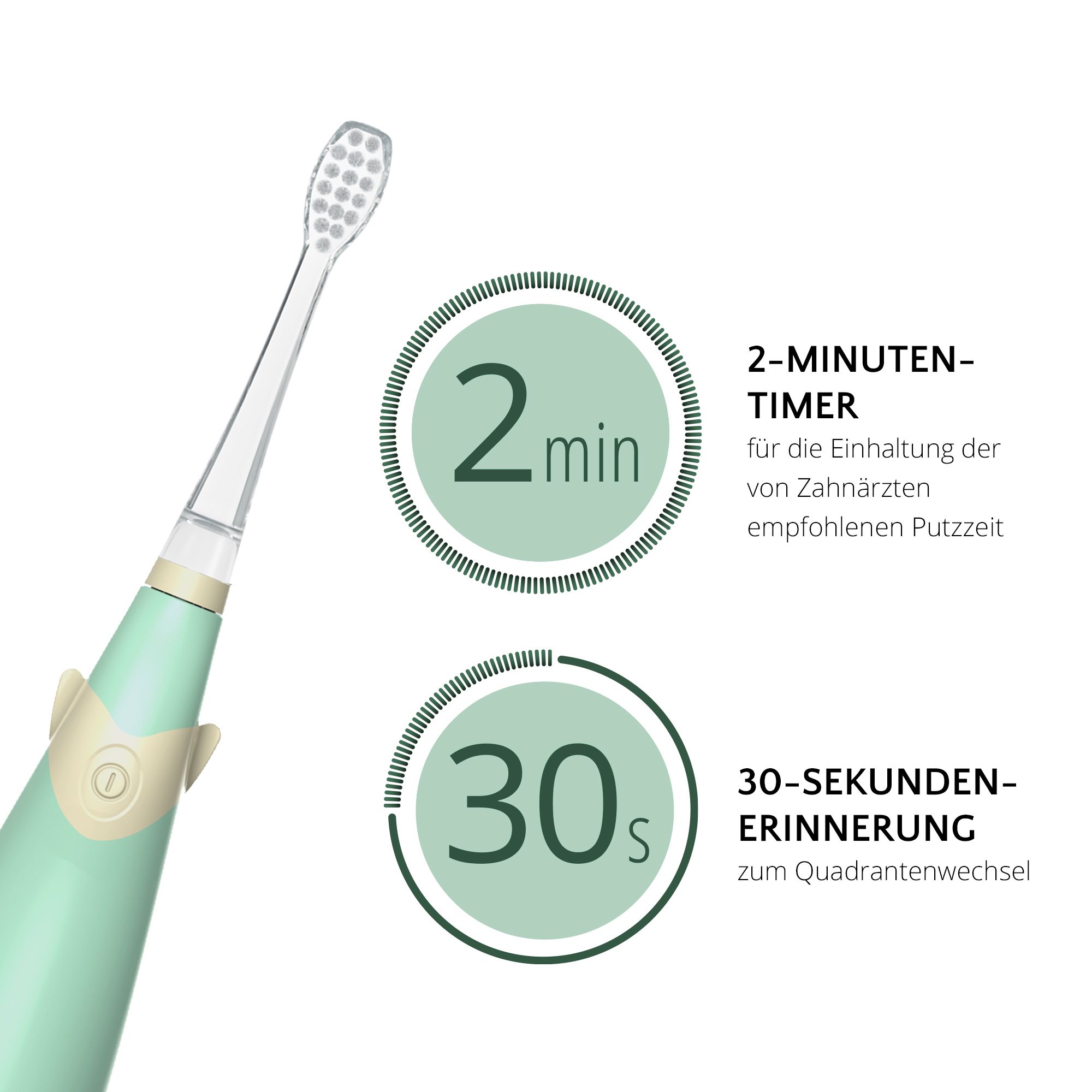 Brosse à dents. Texte: Minuteur de 2 minutes et rappel de 30 secondes.