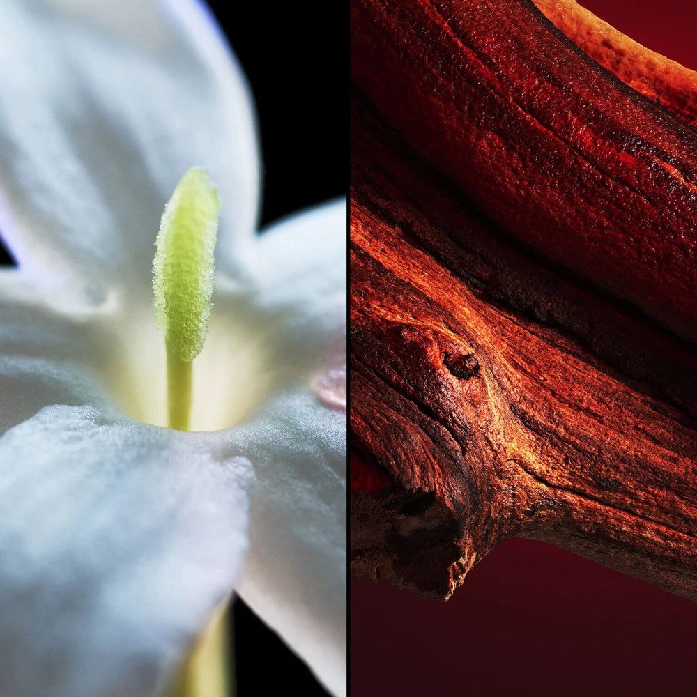 Afbeelding in twee delen. Links: witte bloem. Rechts: rood hout. Beide op donkere achtergrond.