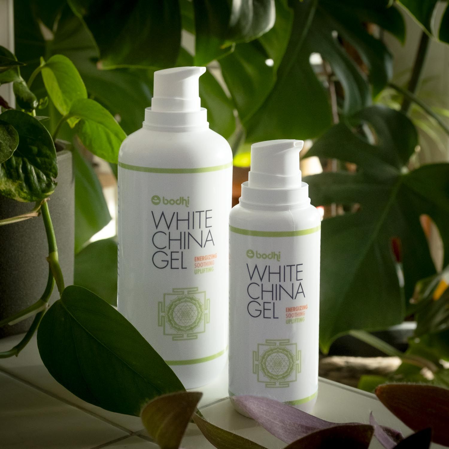 Deux flacons blancs avec pompe. Logo "bodhi" et texte "WHITE CHINA GEL". Graphique vert et blanc. Fond: feuilles vertes.