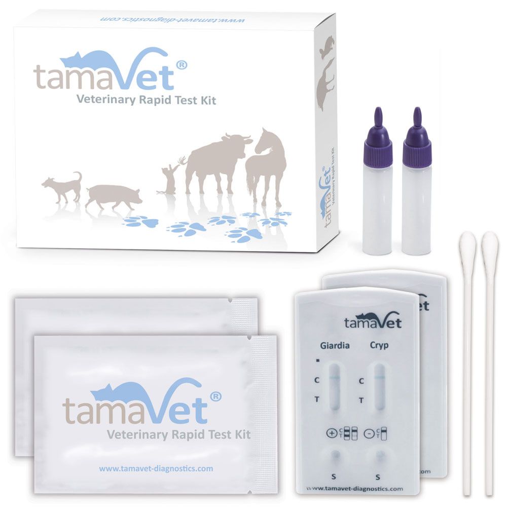 tamaVet Test rapide Giardia et Cryptosporidium parvum pour chiens et chats