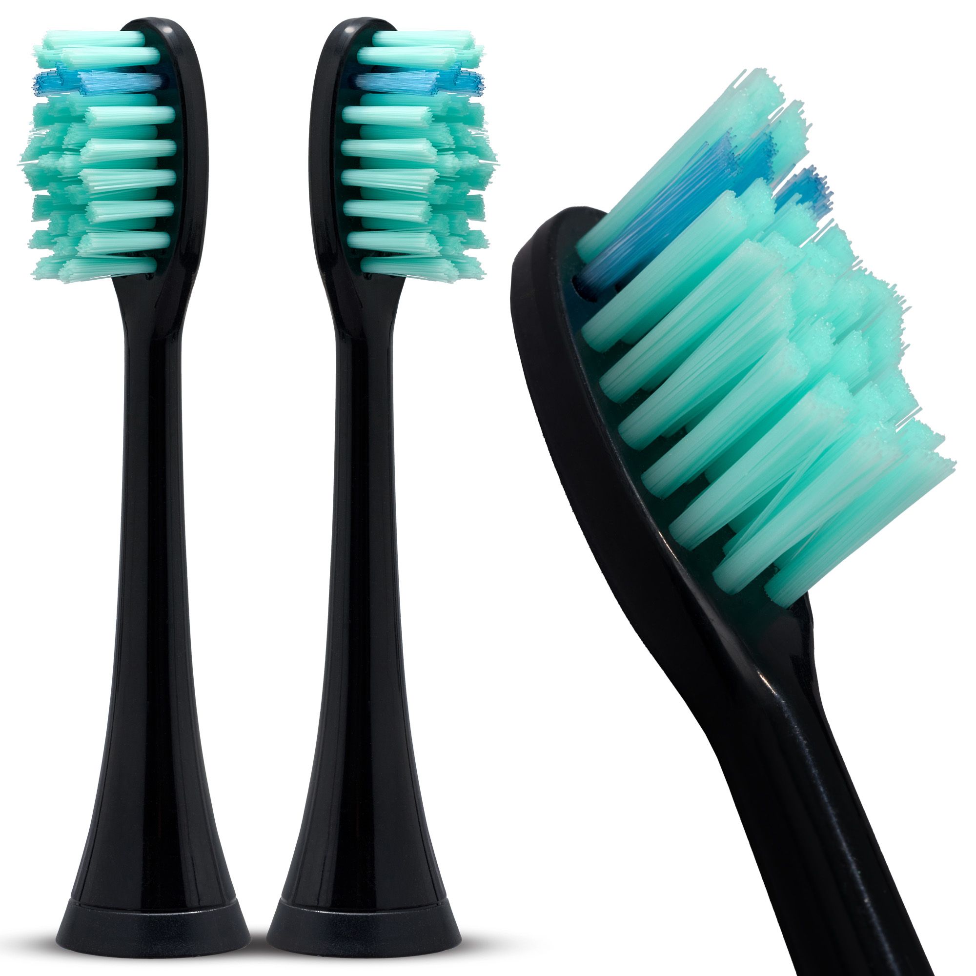 Deux têtes de brosse de remplacement noires pour brosses à dents soniques, avec des poils turquoise, dont une en détail.